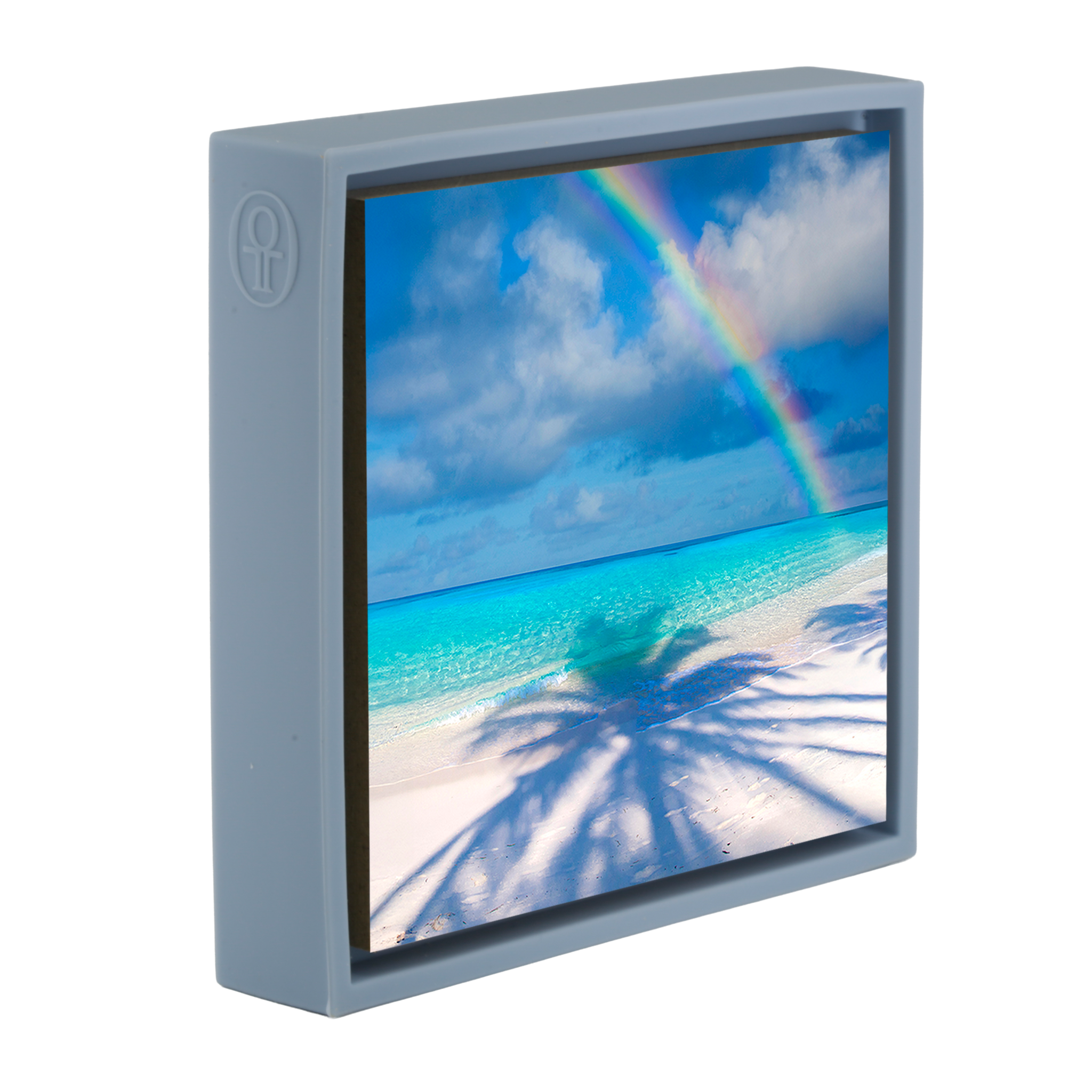 Palm Shadow Bow- Light Blue Wrapp