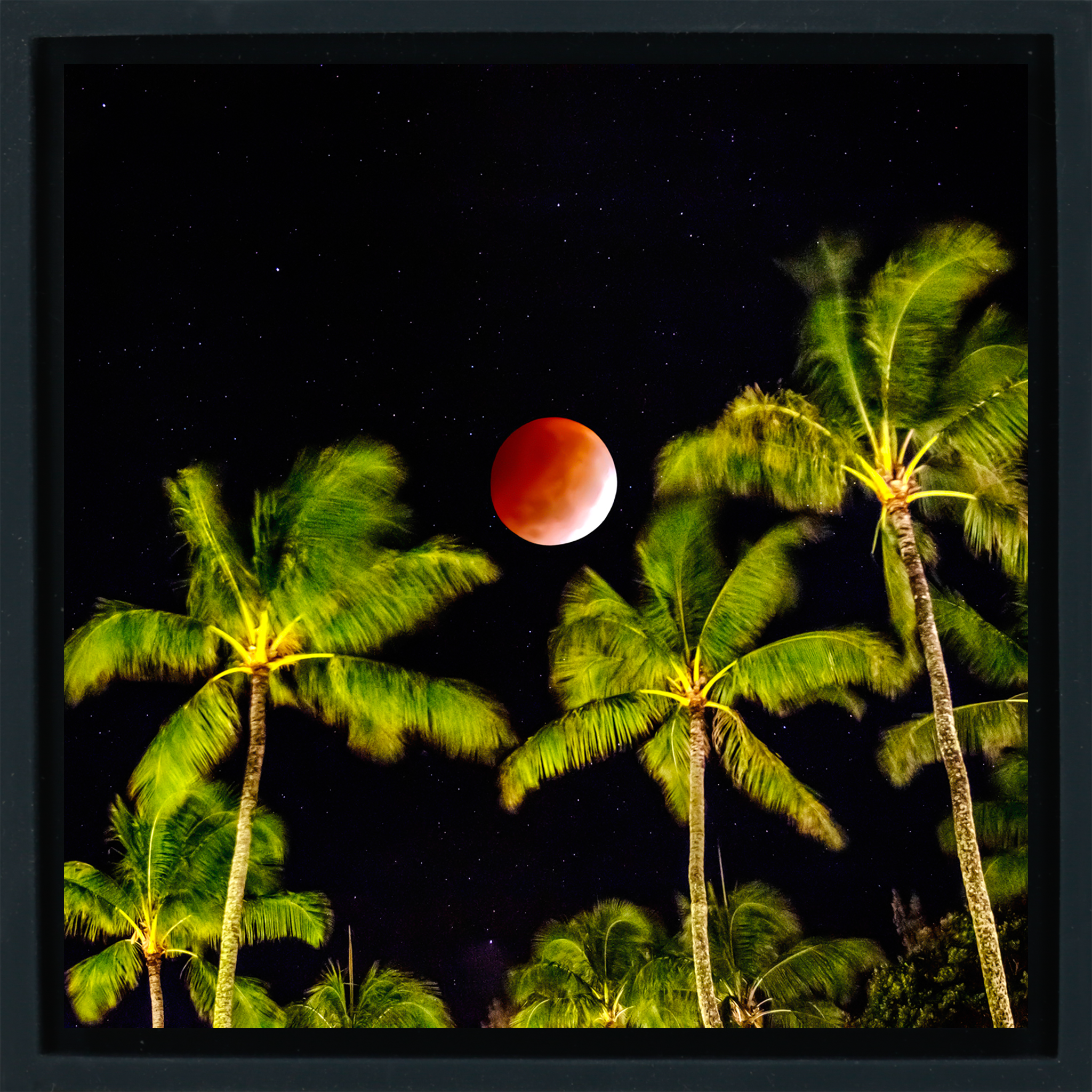 Lunar Eclipse- Black Wrapp