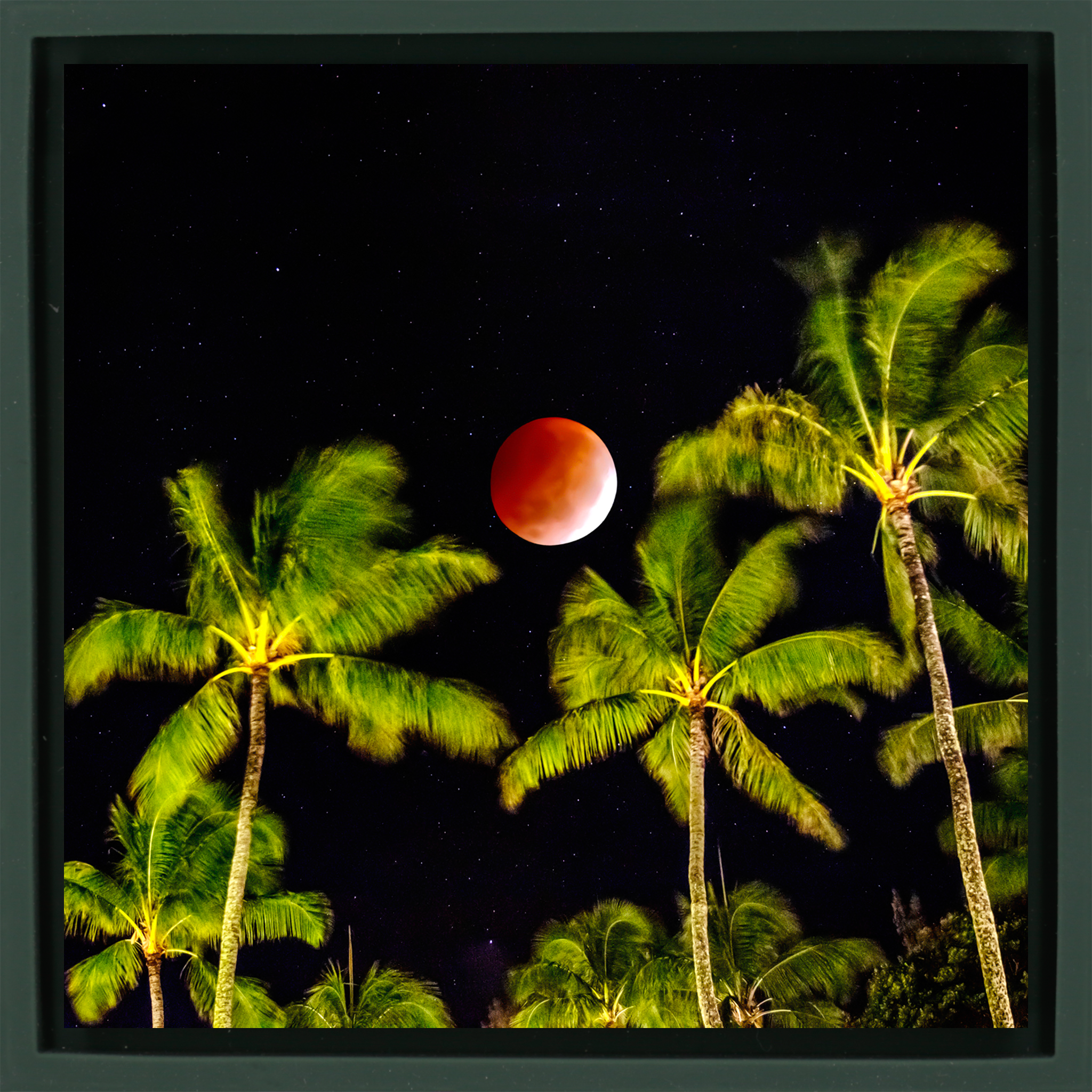 Lunar Eclipse- Dark Green Wrapp