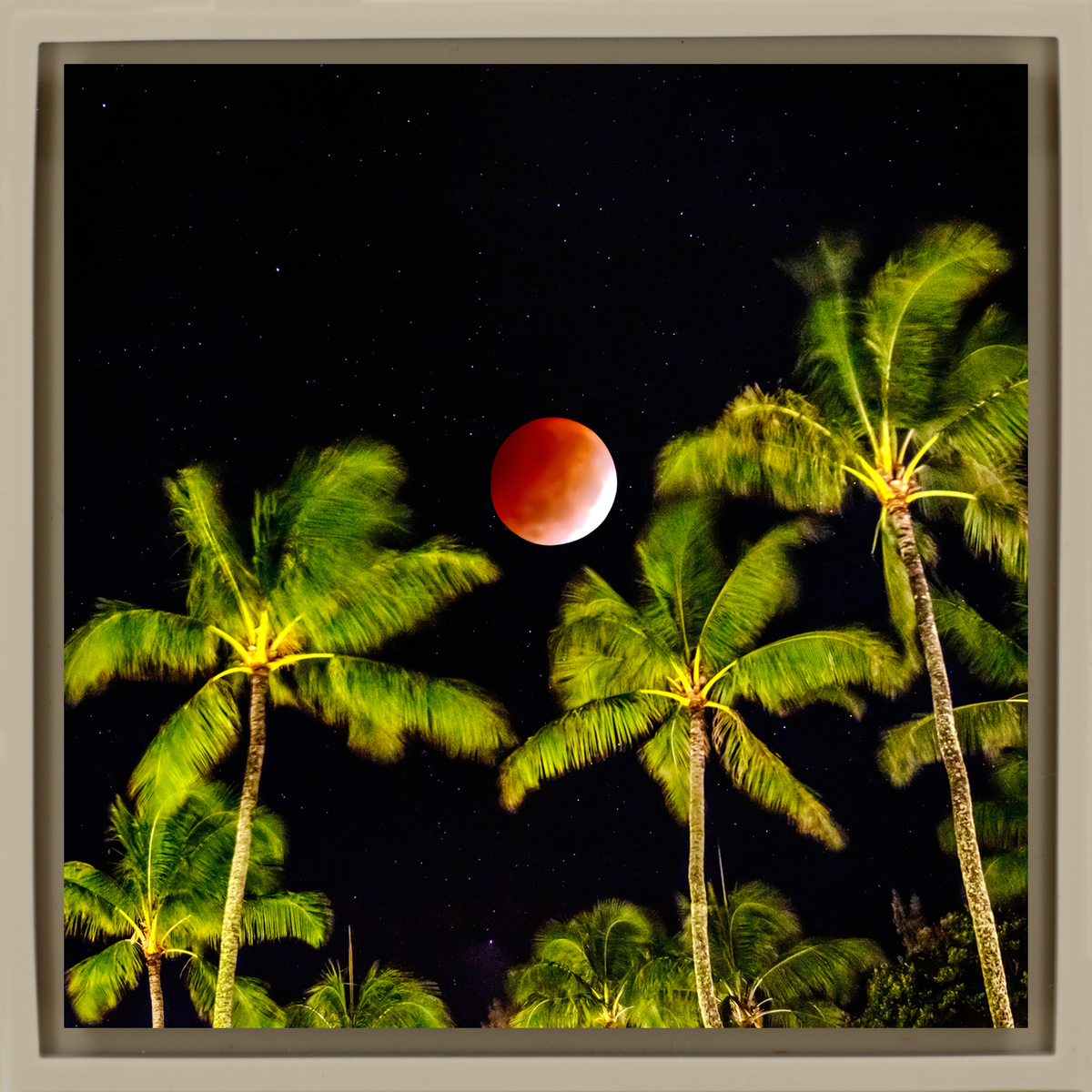 Lunar Eclipse