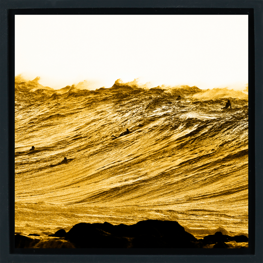 Gold Nugget - Black Wrapp