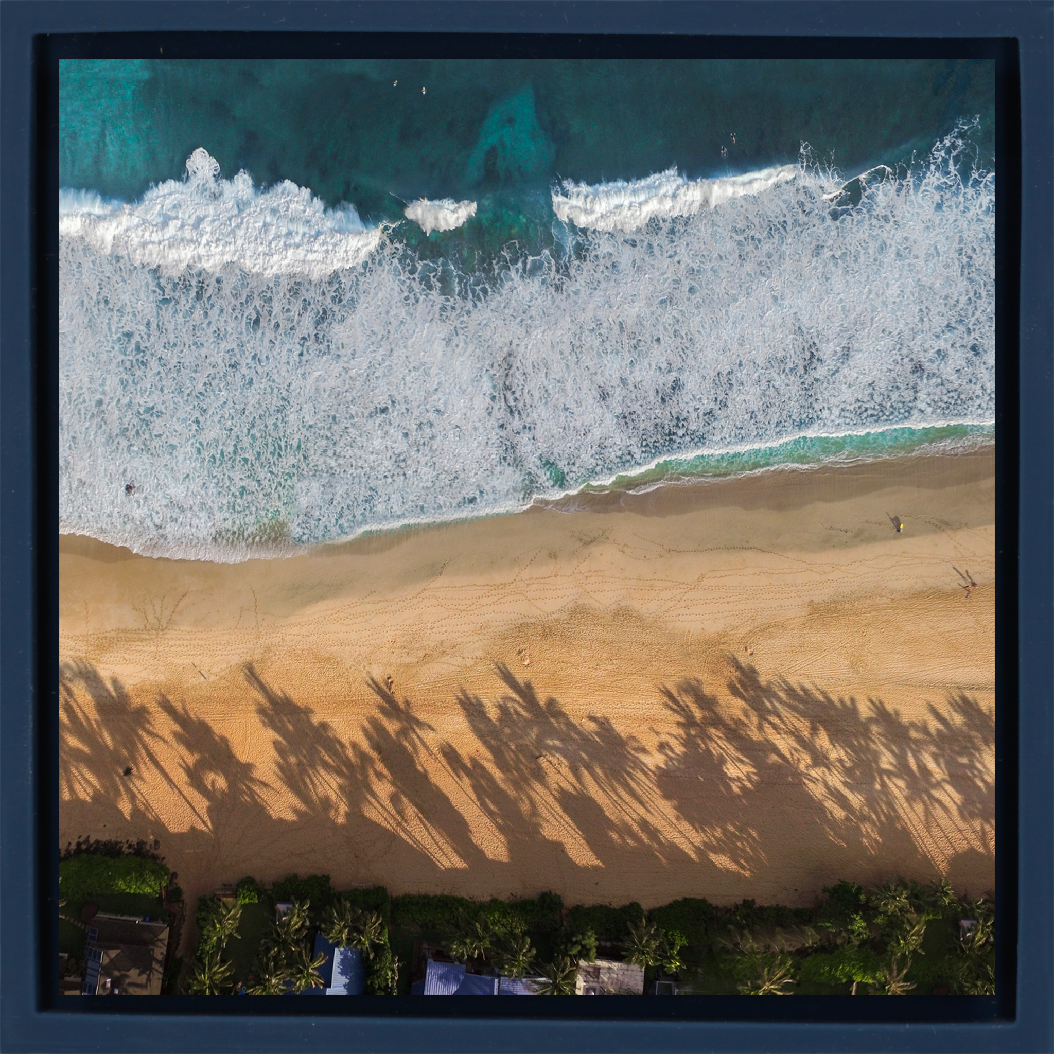 Pipe Line Palms- Dark Blue Wrapp