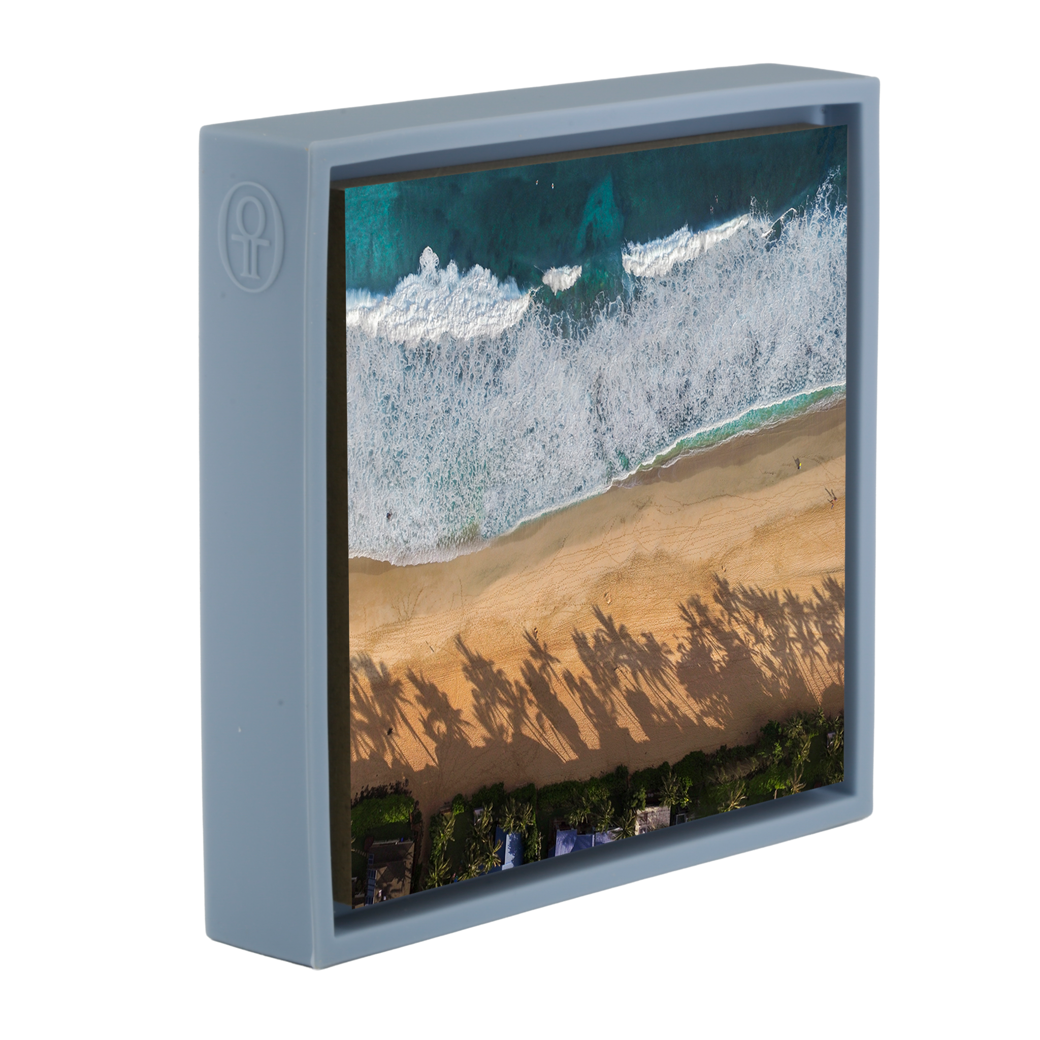 Pipe Line Palms- Light Blue Wrapp