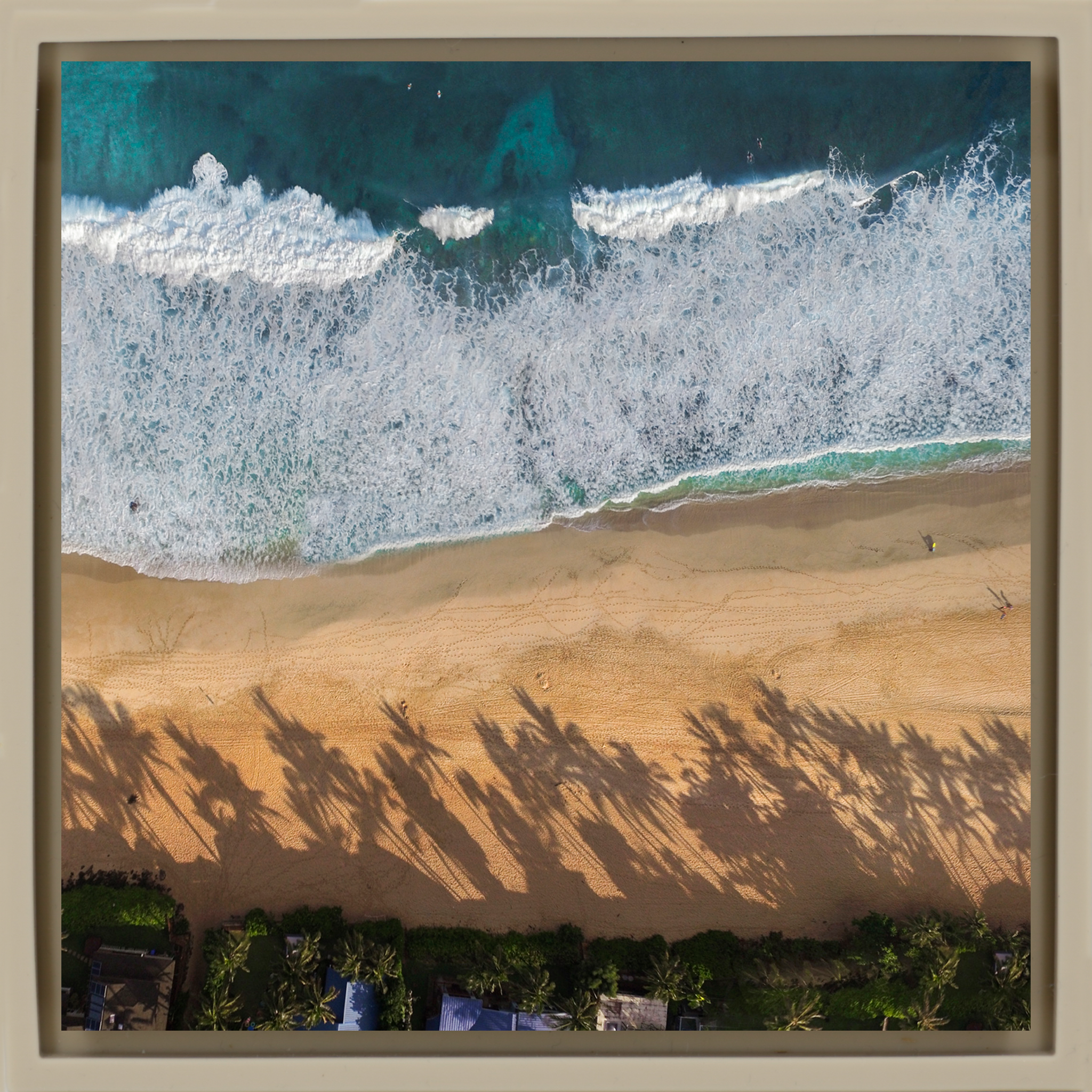 Pipe Line Palms- Sand Wrapp