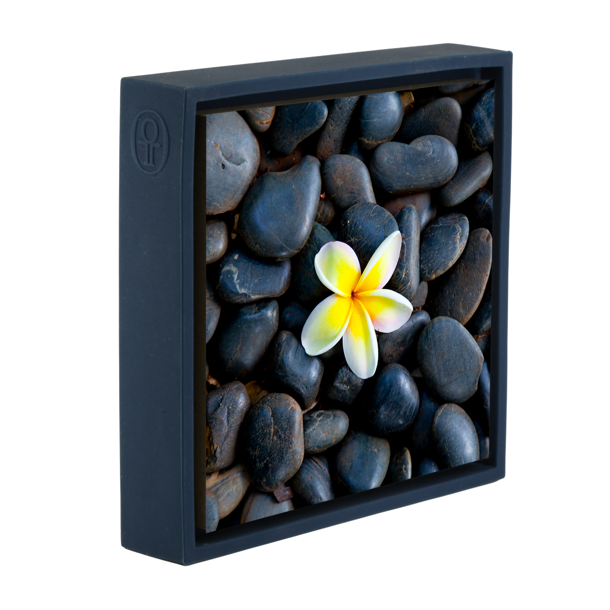 Plumeria Pebbles- Dark Blue Wrapp