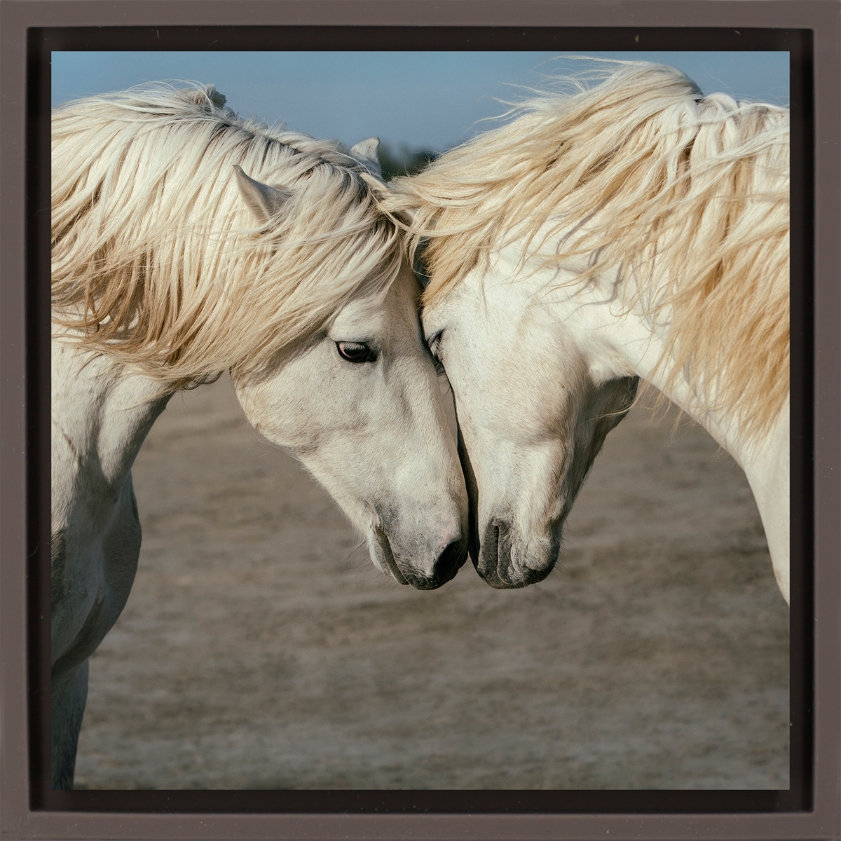Horse Love