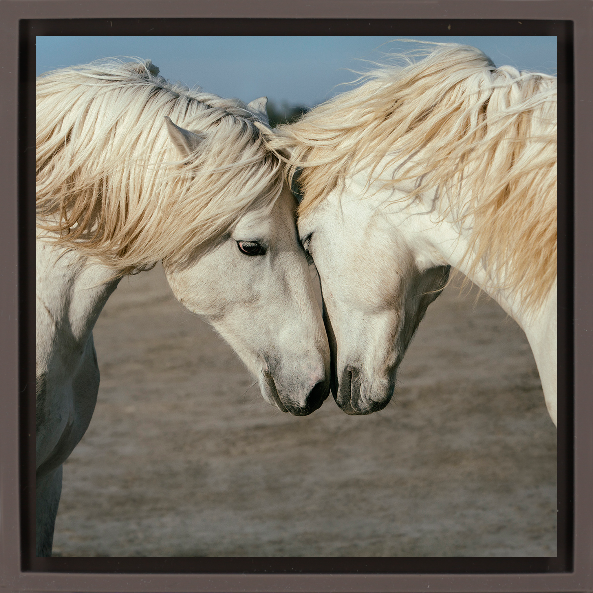 Horse Love - Bruine Wrapp