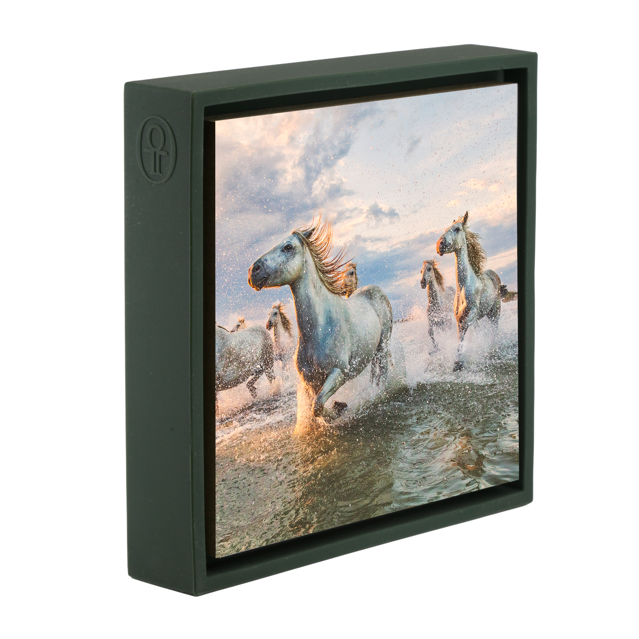 The White Horses of The Camargue France - Donkergroene Wrapp