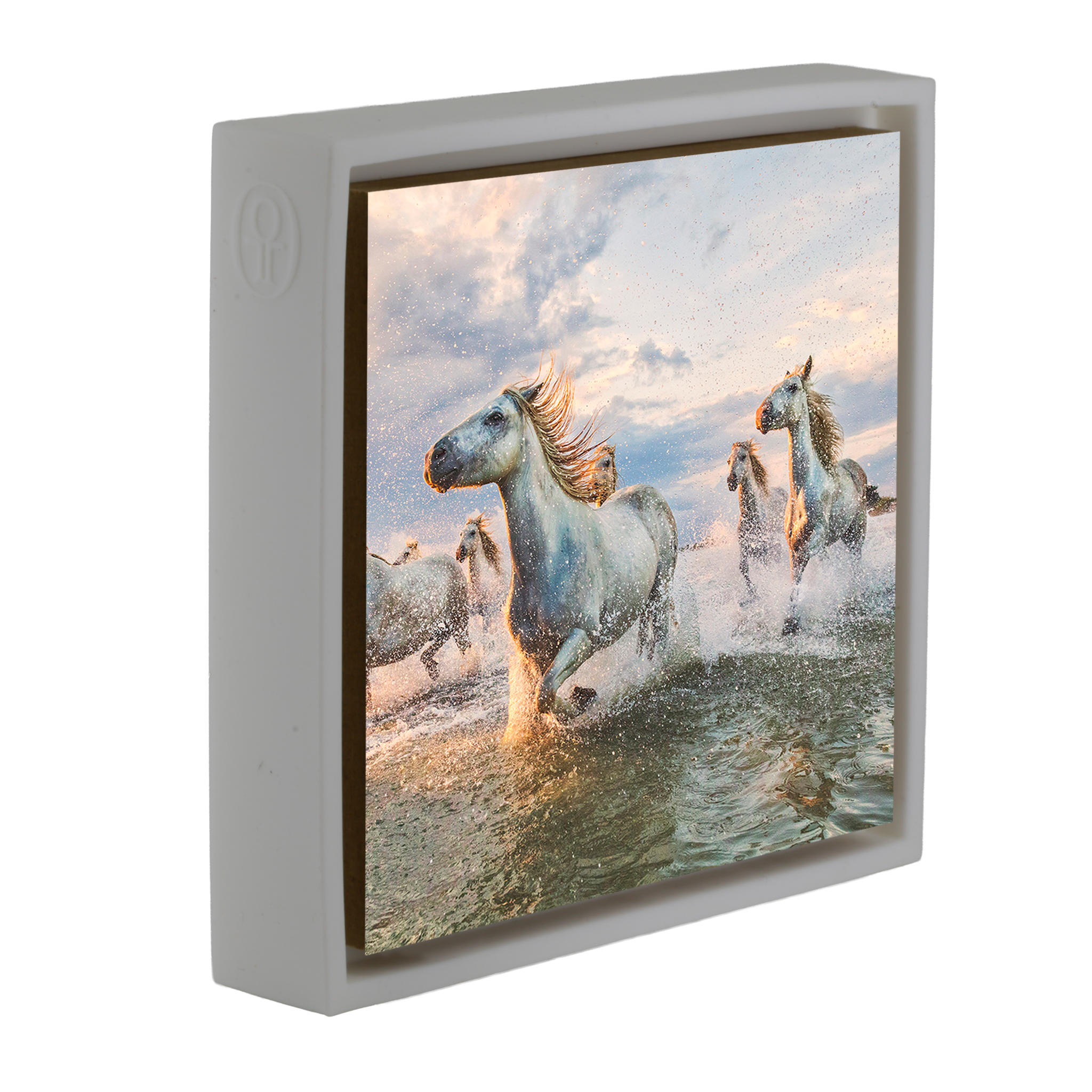 The White Horses of The Camargue France - Witte Wrapp