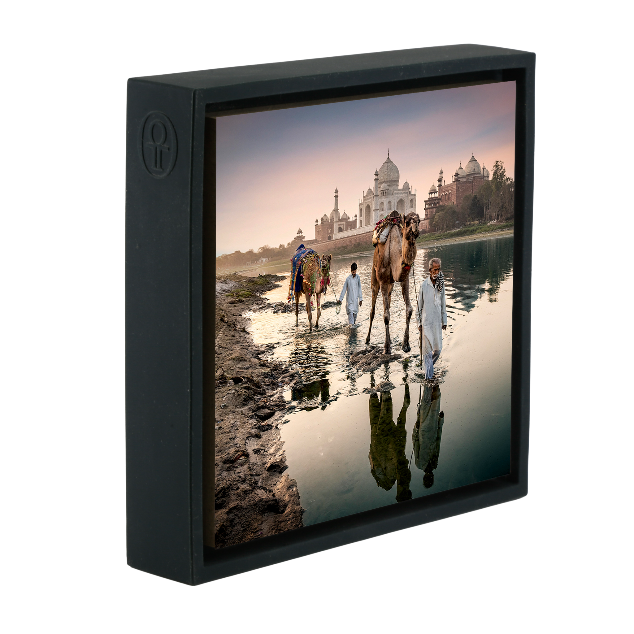 Camels Behind The Taj Mahal - Zwarte Wrapp