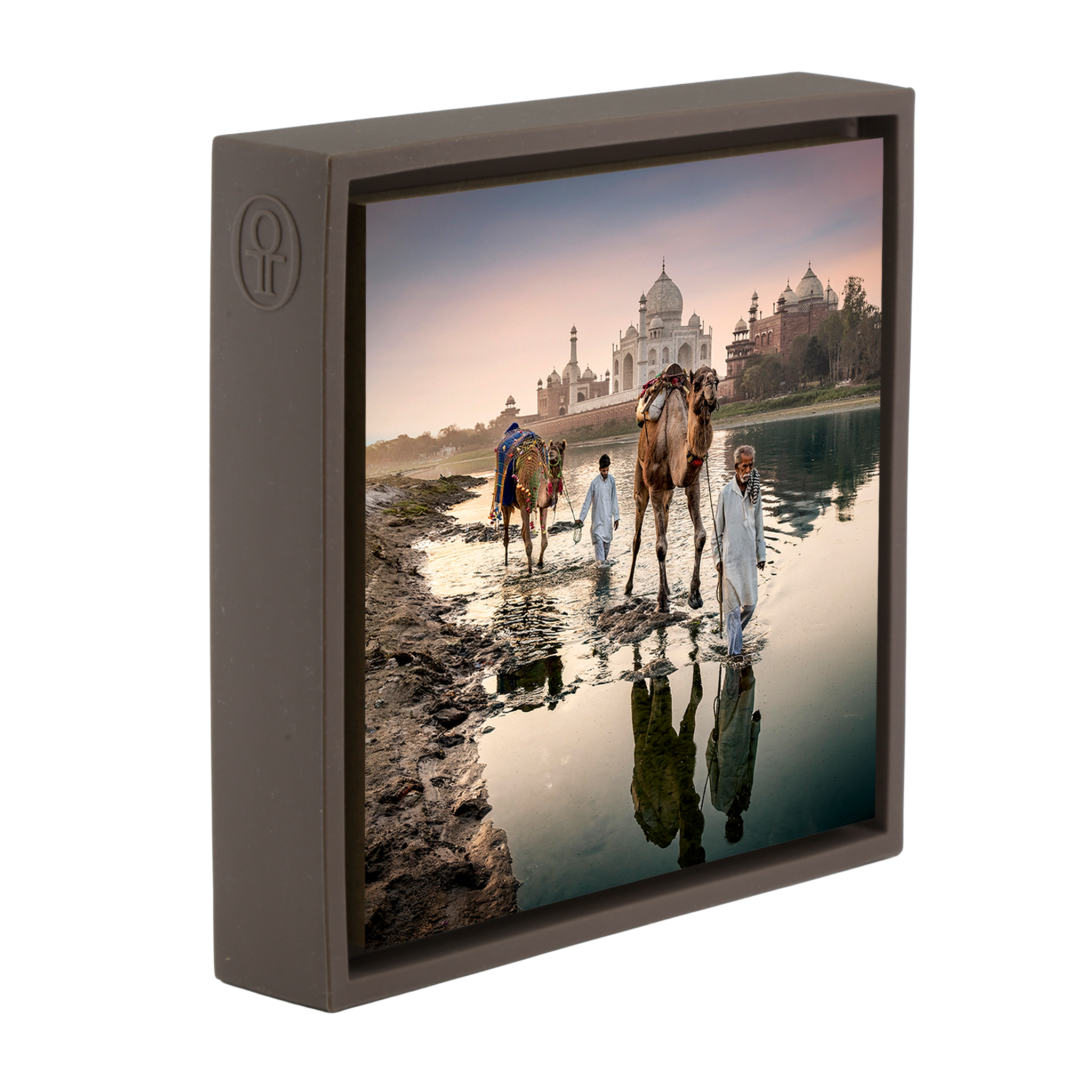 Camels Behind The Taj Mahal - Bruine Wrapp