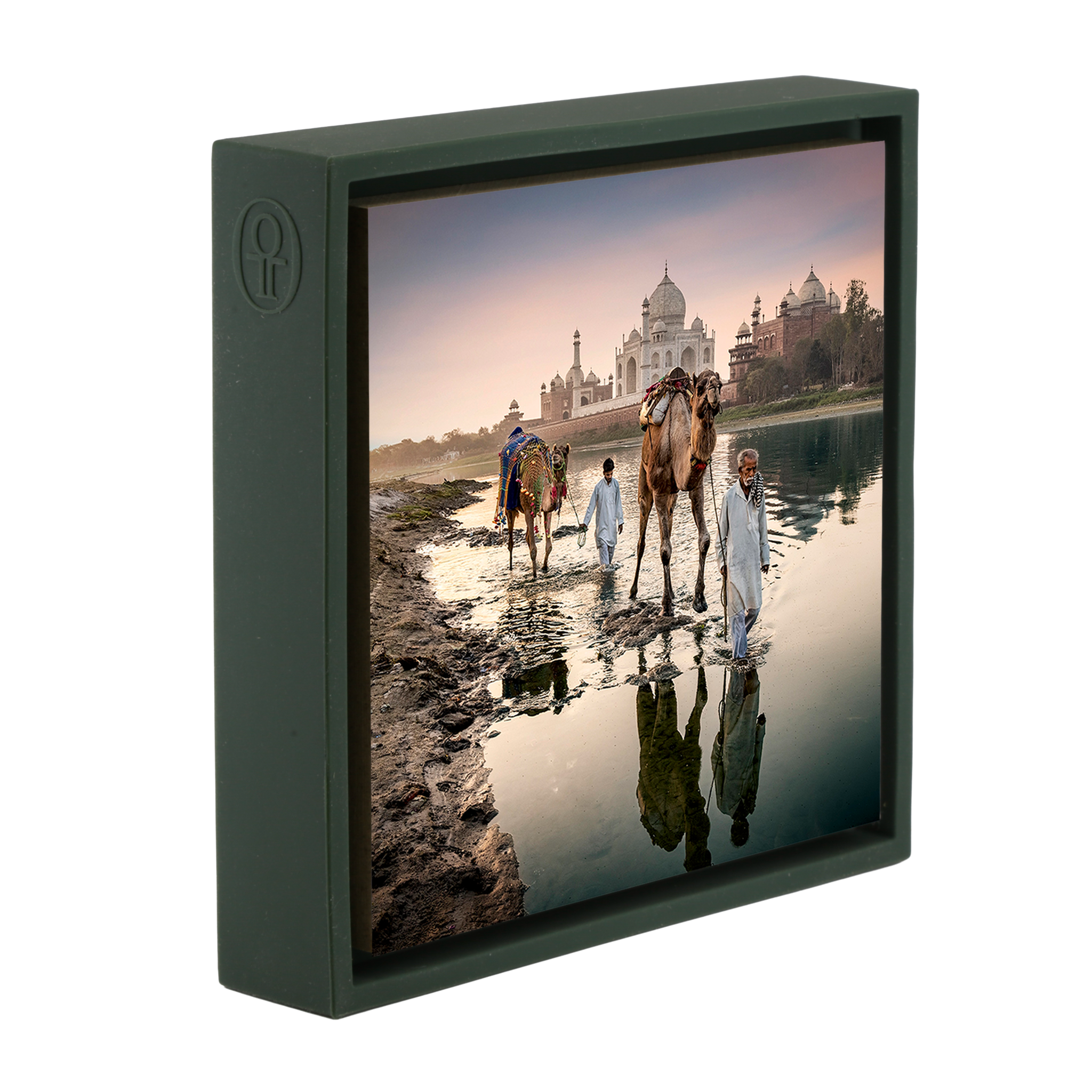 Camels Behind The Taj Mahal - Donkergroene Wrapp