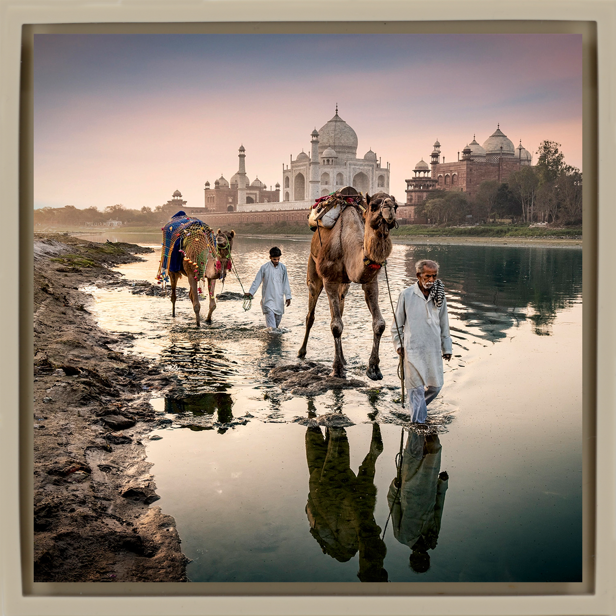 Camels Behind The Taj Mahal - Zandkleurige Wrapp