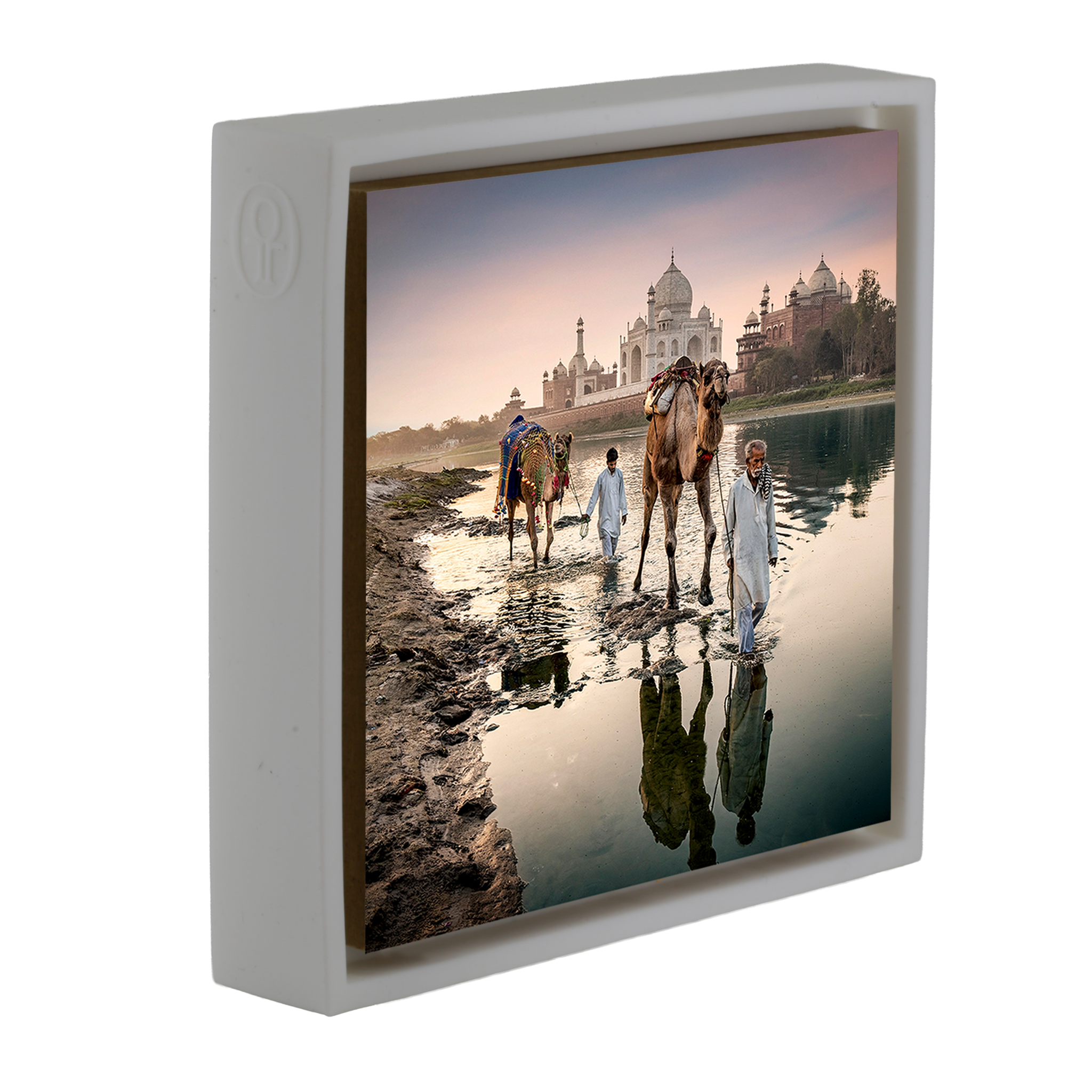 Camels Behind The Taj Mahal - Witte Wrapp