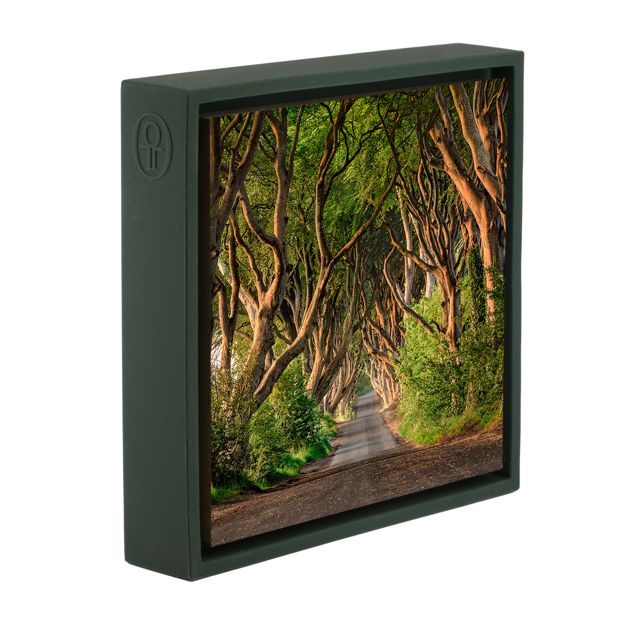 The Dark Hedges of Ireland - Donkergroene Wrapp