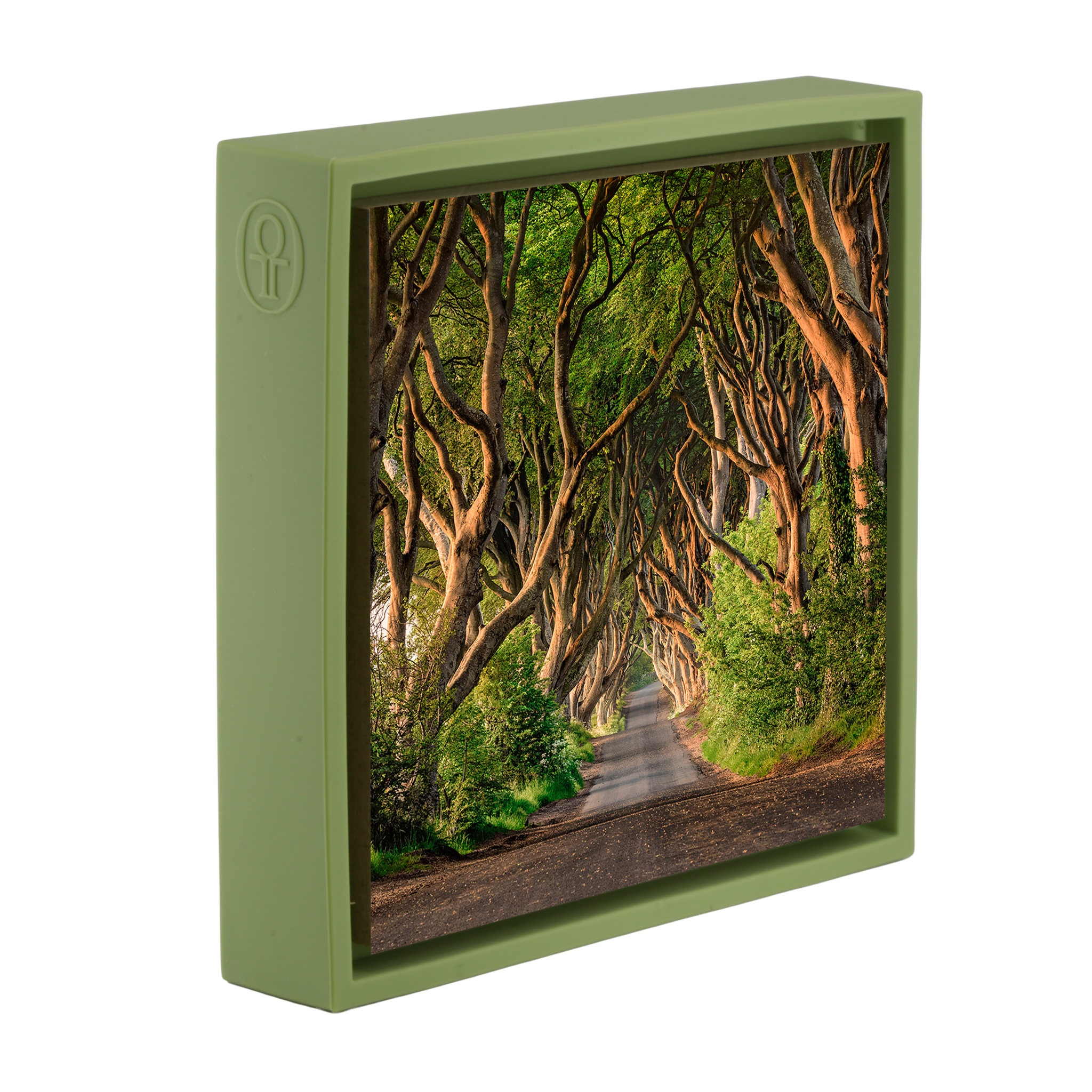 The Dark Hedges of Ireland- Light Green Wrapp