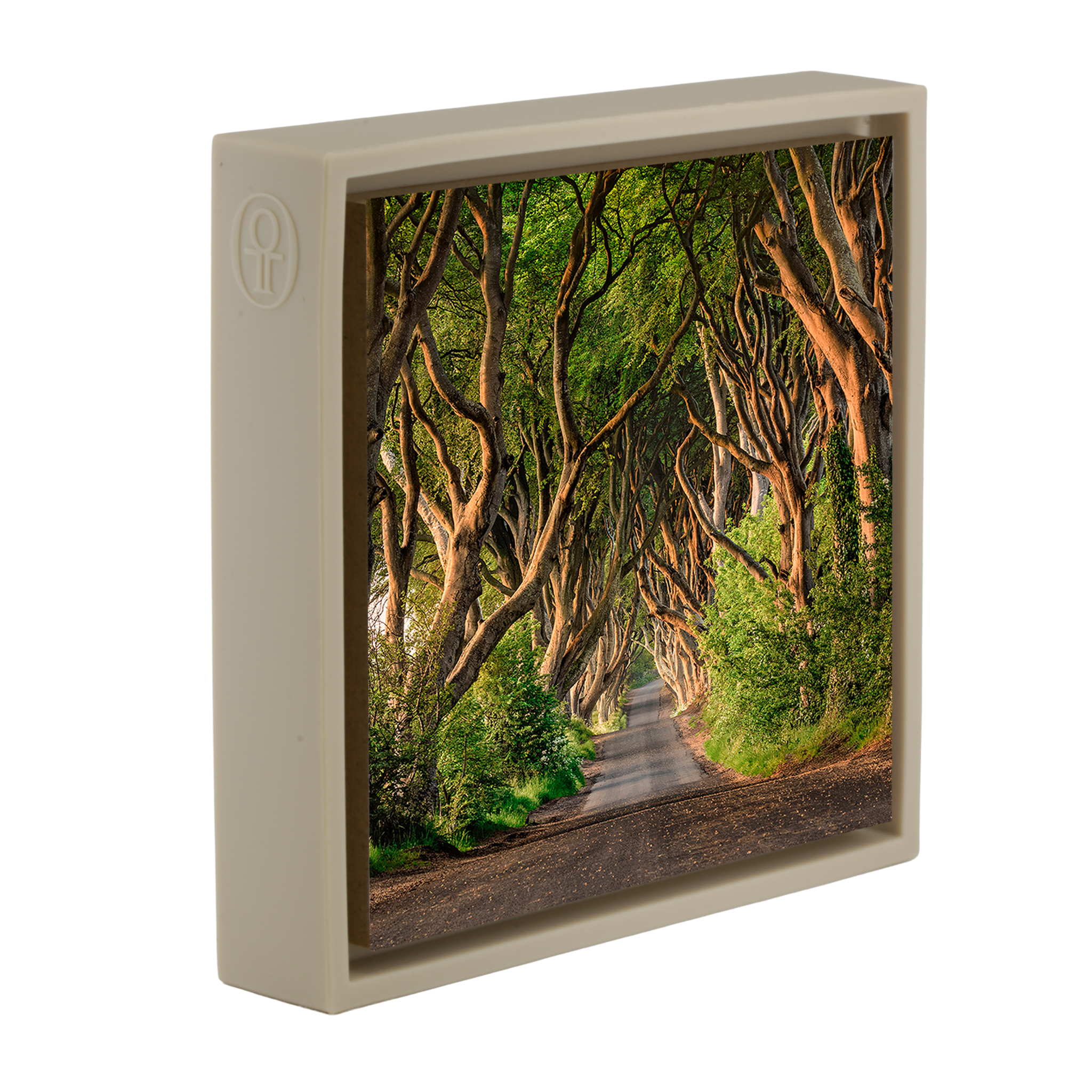 The Dark Hedges of Ireland - Zandkleurige Wrapp