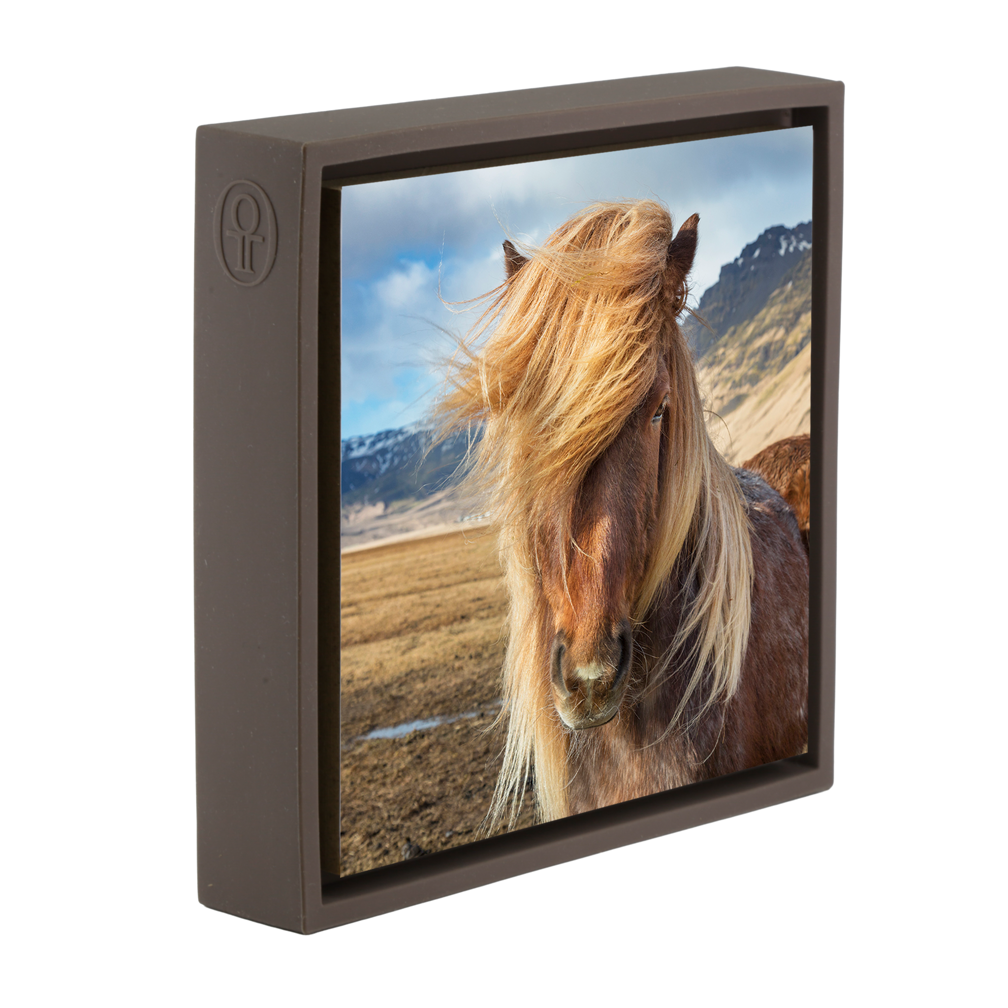 Icelandic Pony- Brown Wrapp