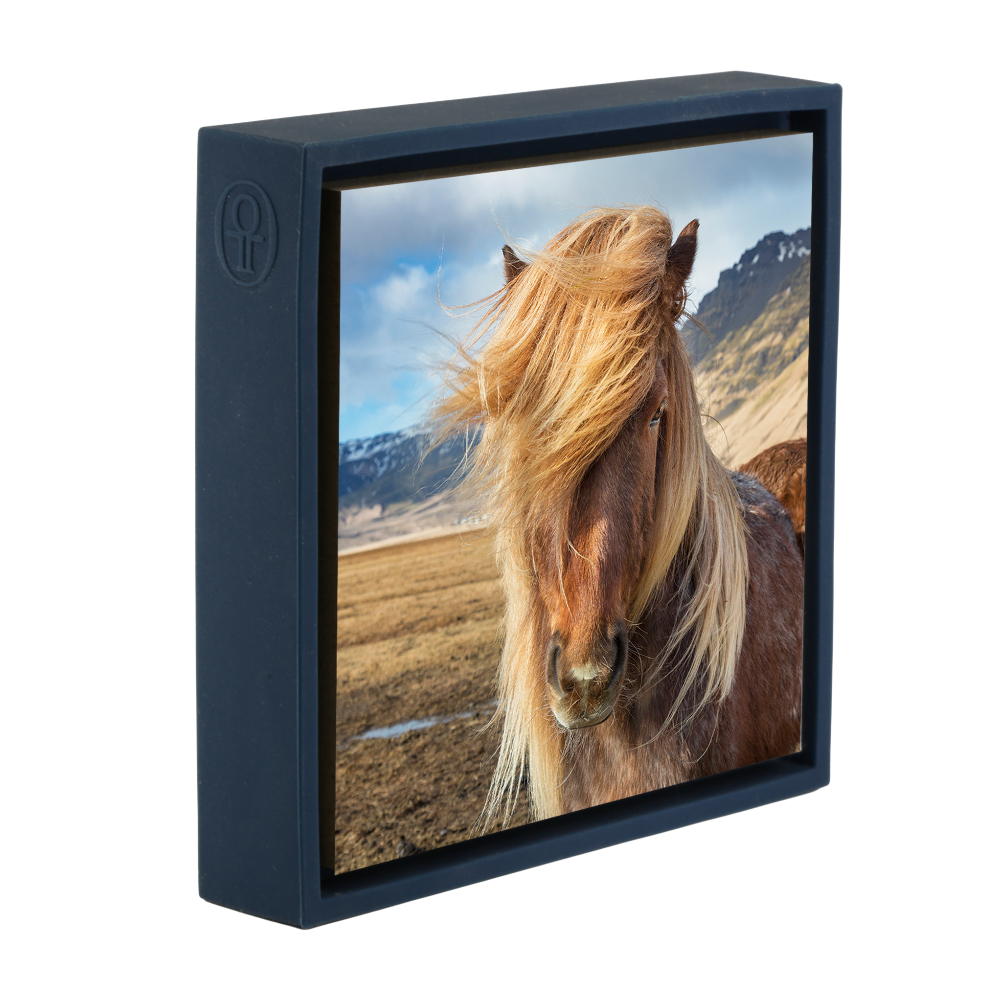 Icelandic Pony- Dark Blue Wrapp