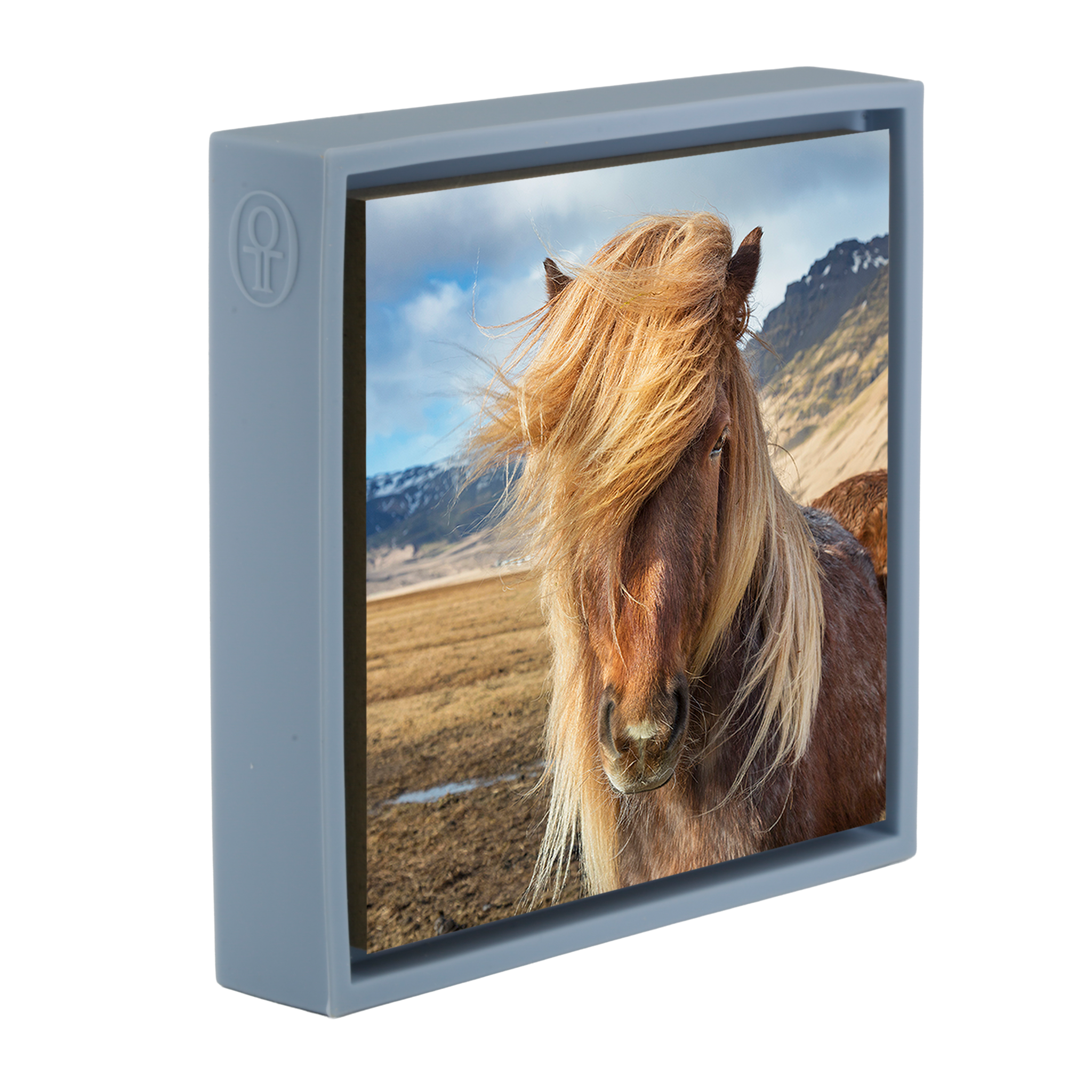 Poney islandais - Couverture bleu clair