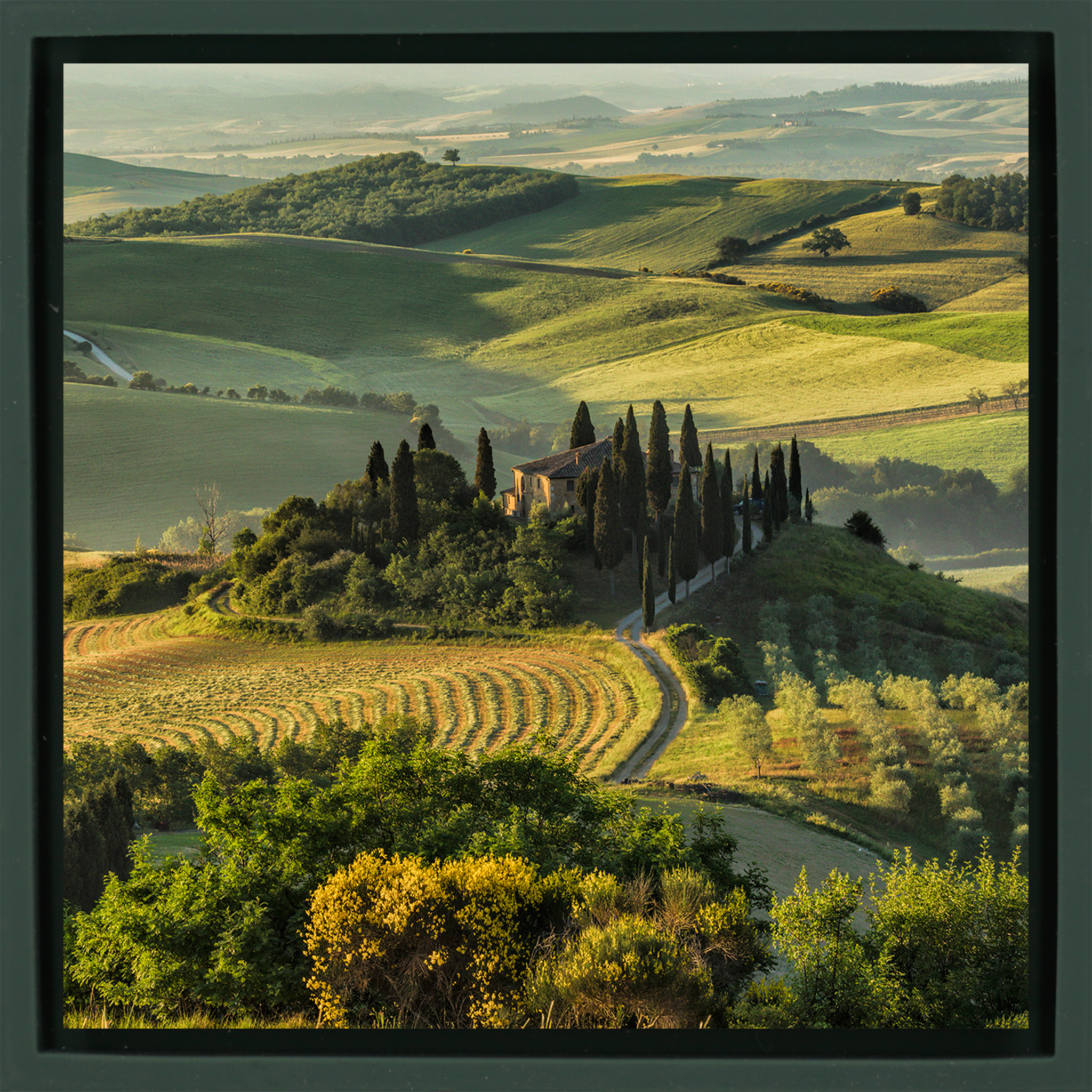 Belvedere In Tuscany- Dark Green Wrapp