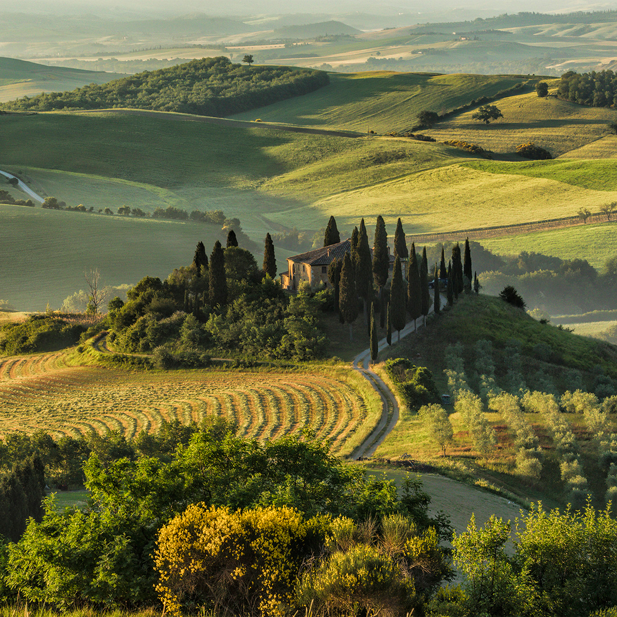 Belvedere In Tuscany- Collection: Italy