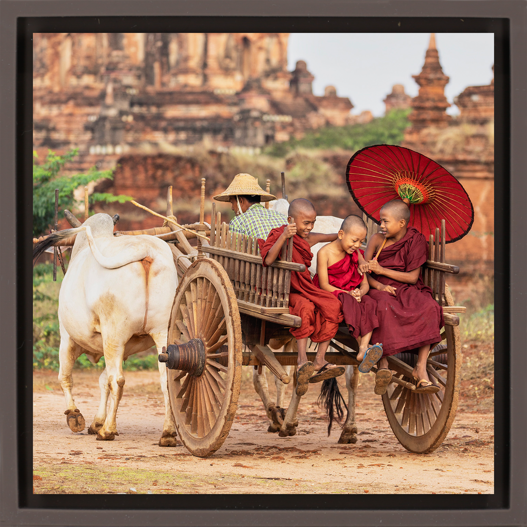 Monks in Bagan - Brown Wrapp