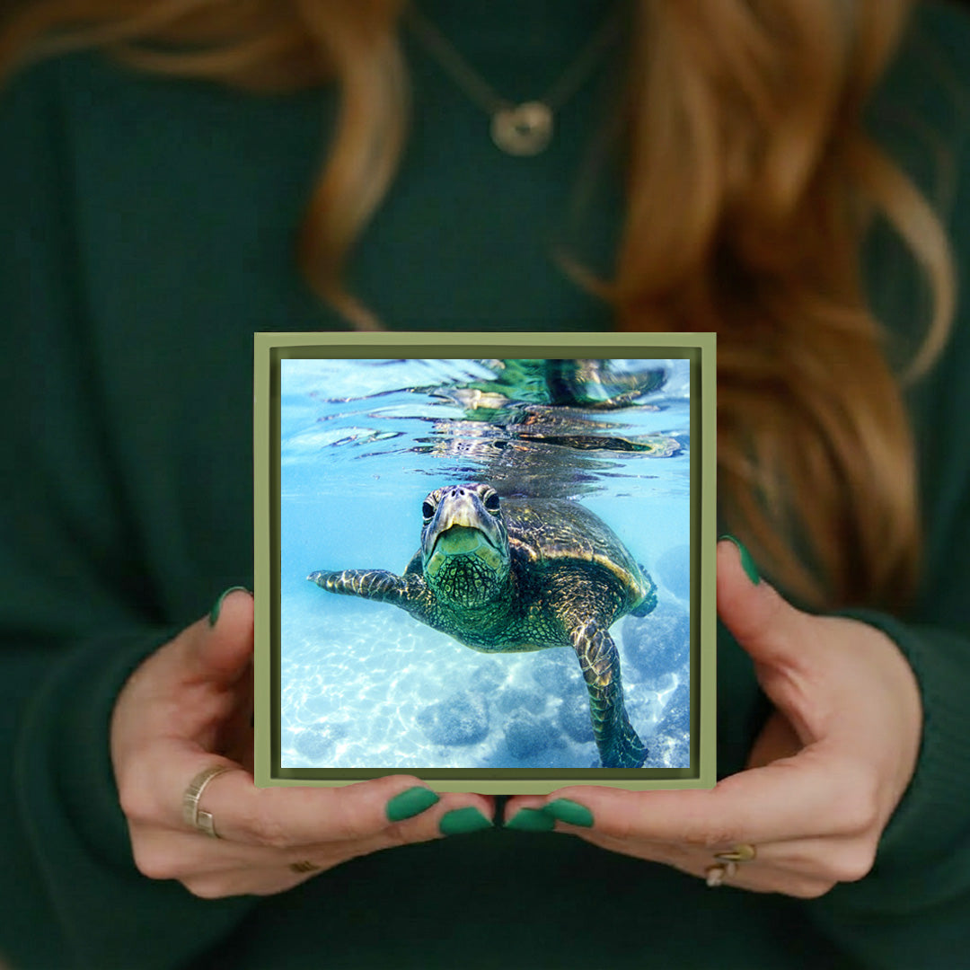 Friendly Turtle- Light Green Wrapp
