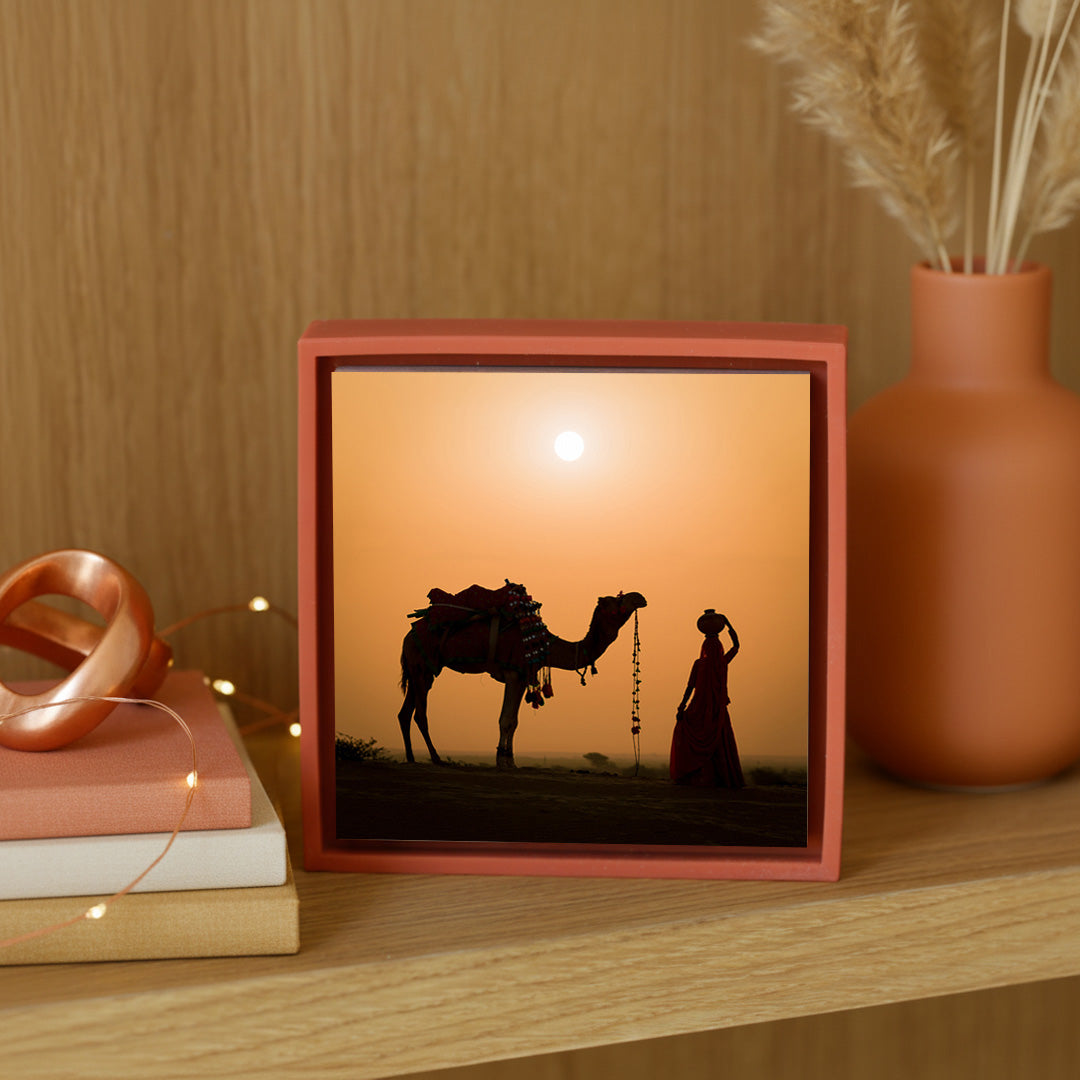 Snake Charmer - Orange Wrapp