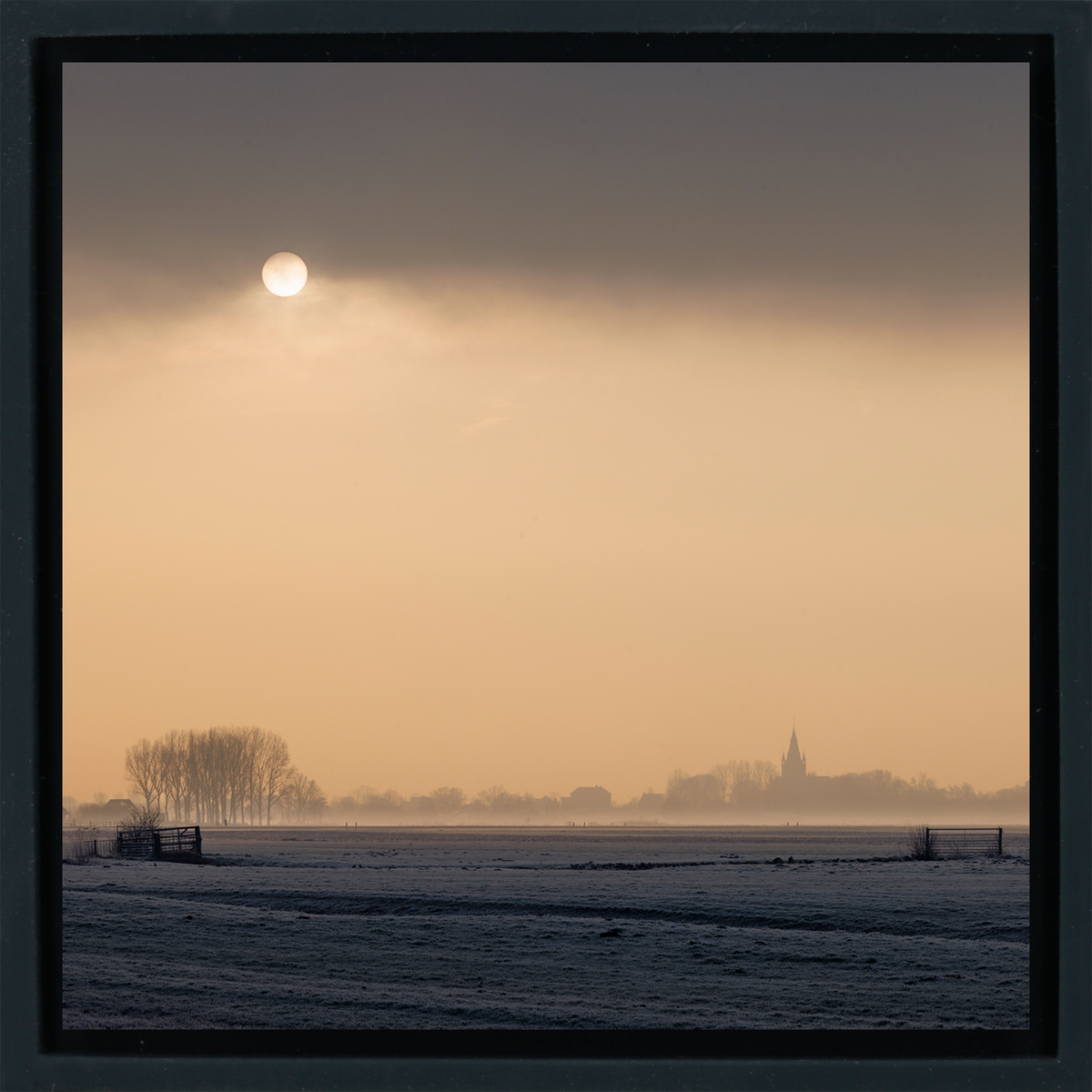The Pale Sun of the Polder