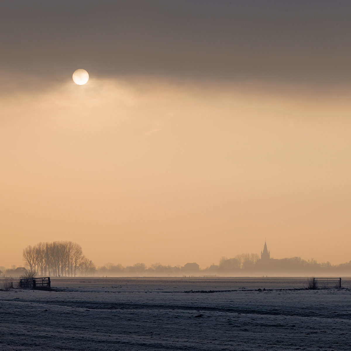 The Pale Sun of the Polder