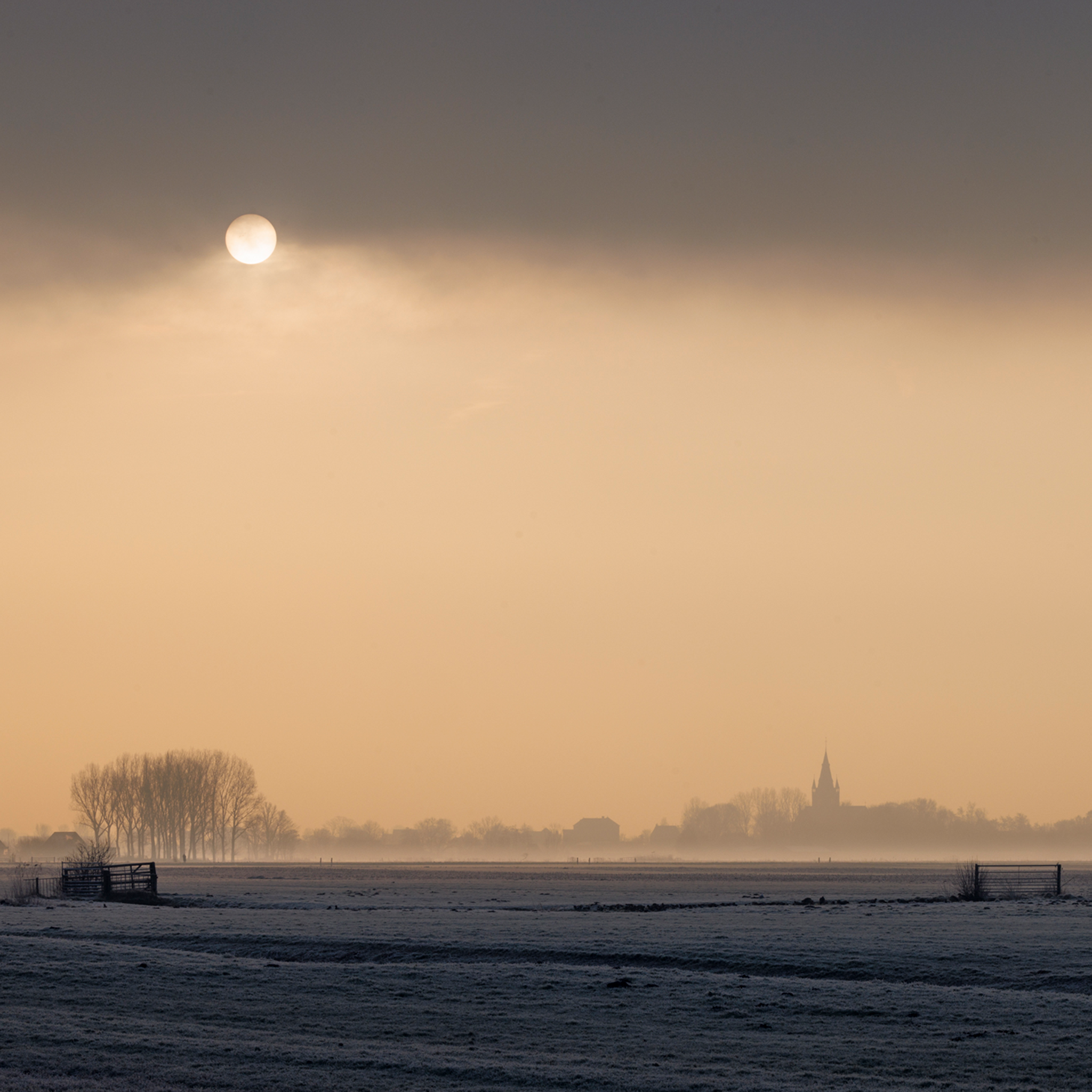 The Pale Sun of the Polder- Collection: The Netherlands