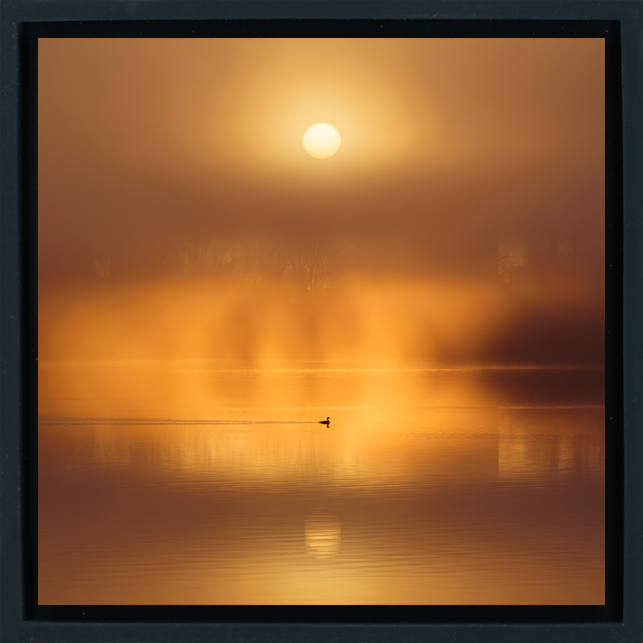 Silent Ripple on De Poel - Zwarte Wrapp