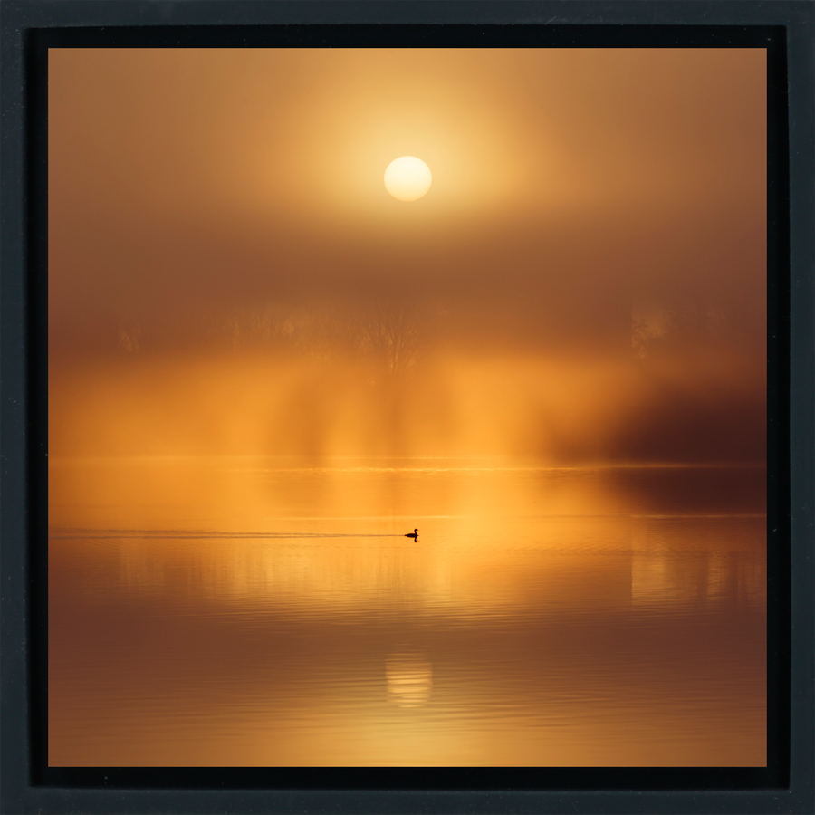 Silent Ripple on De Poel - Black Wrapp