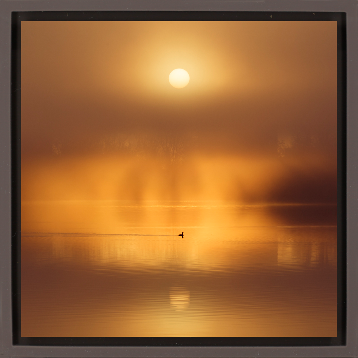 Silent Ripple on De Poel