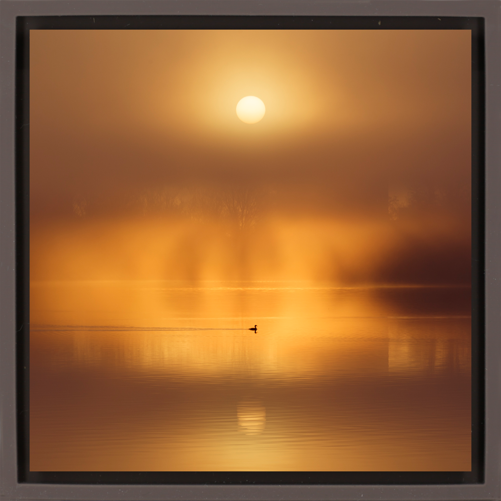 Silent Ripple on De Poel - Bruine Wrapp