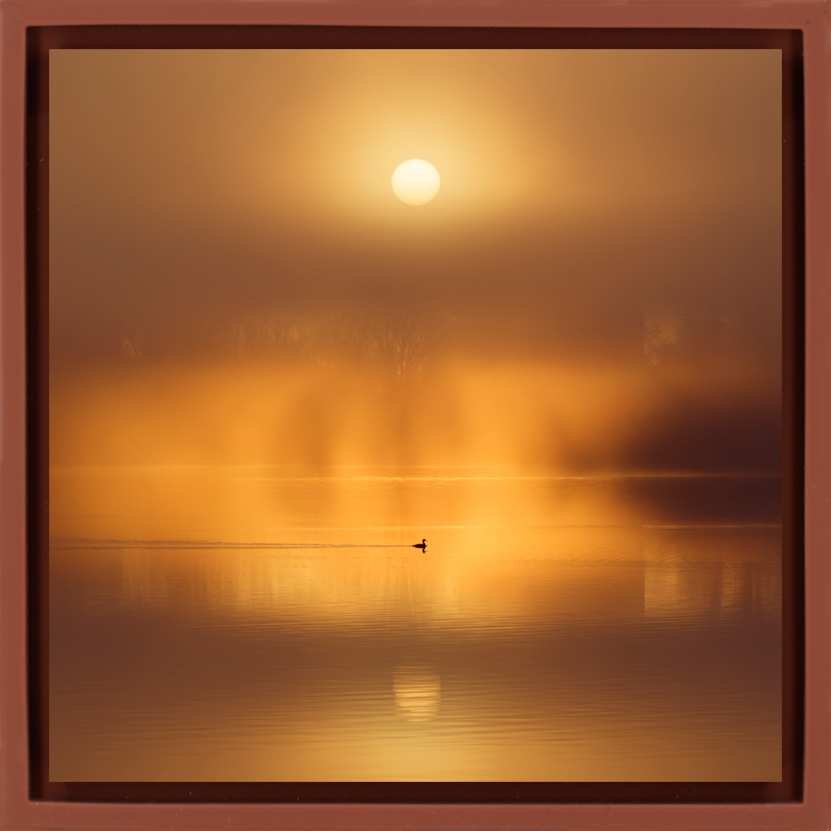 Silent Ripple on De Poel