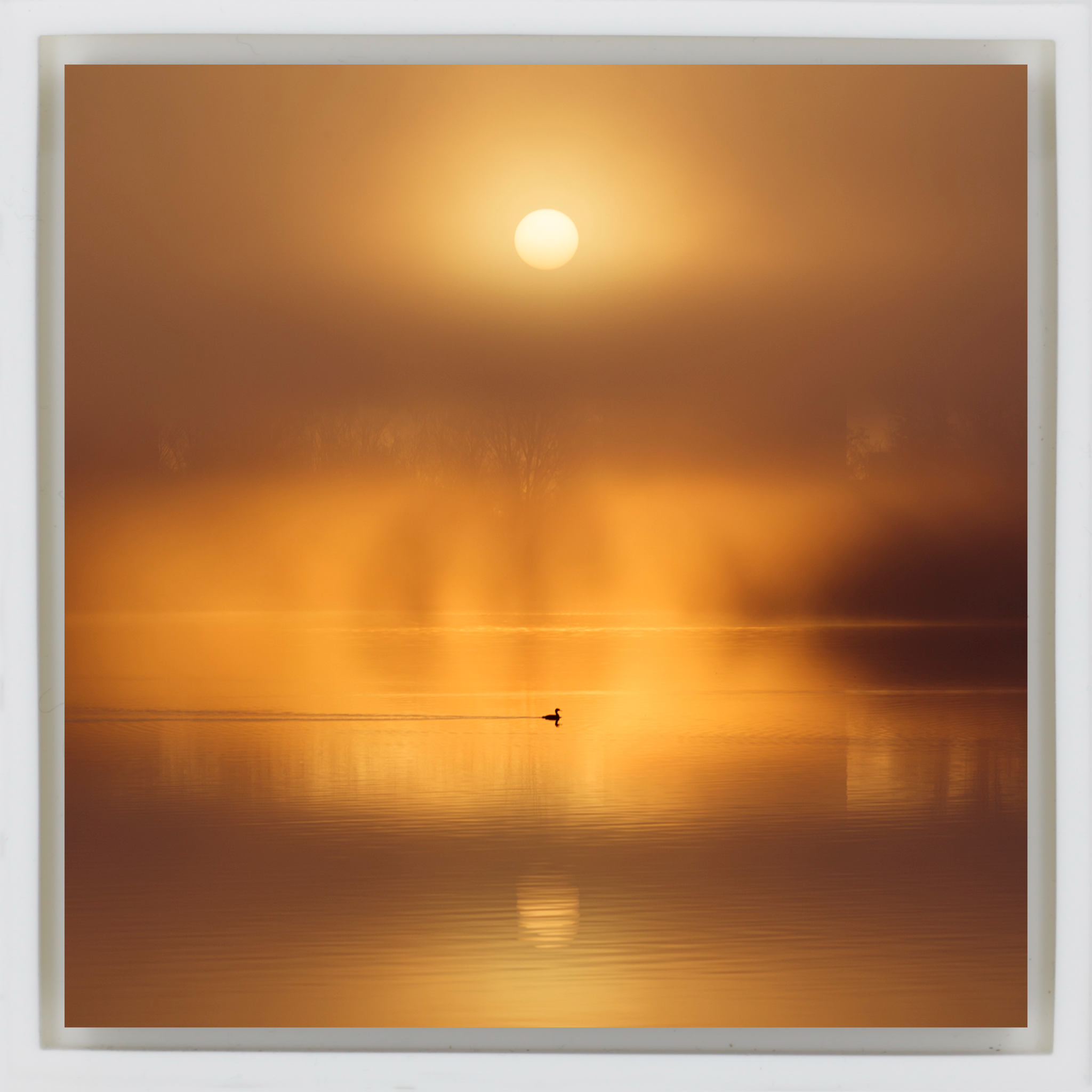 Silent Ripple on De Poel - Witte Wrapp