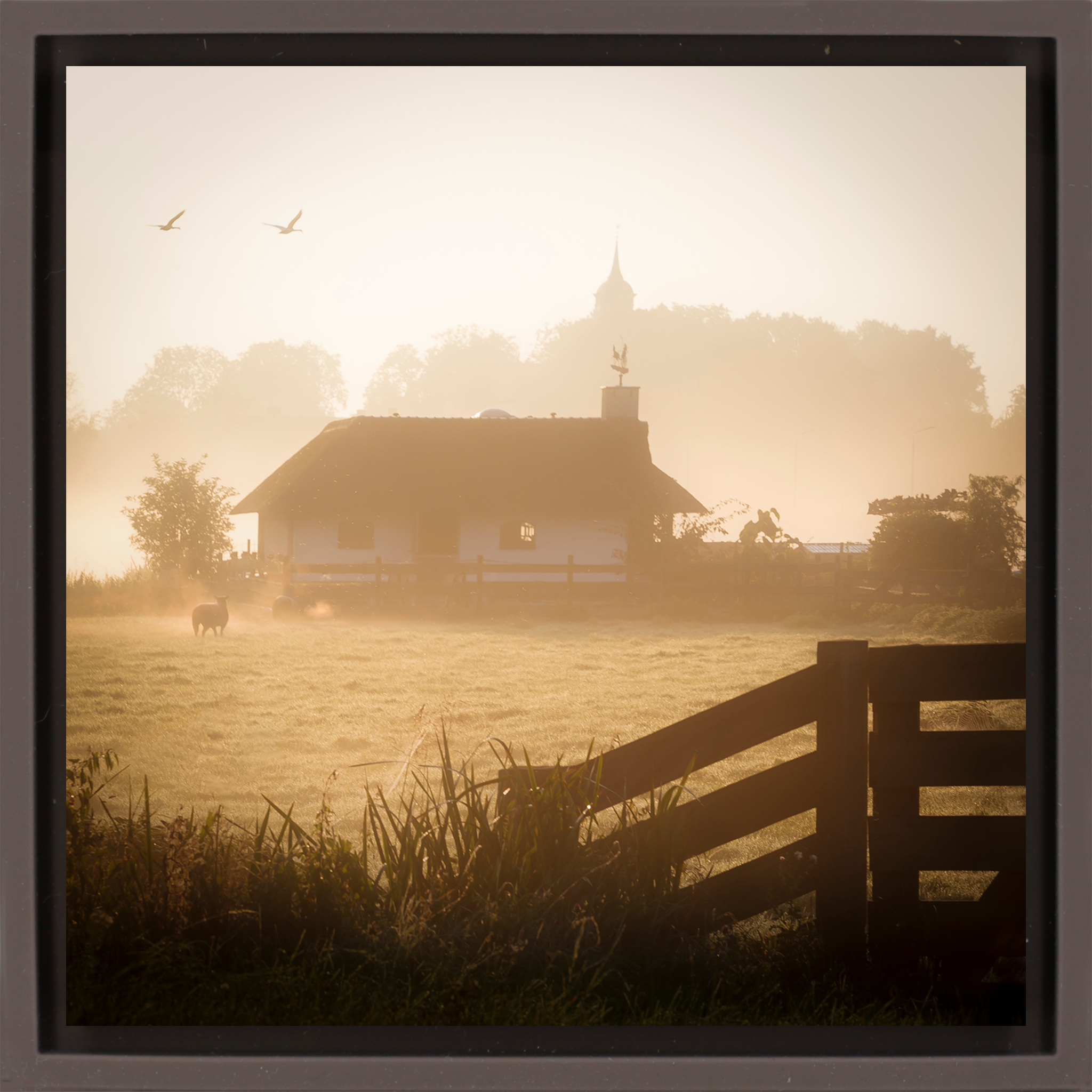 Ouderkerk Farmhouse - Bruine Wrapp