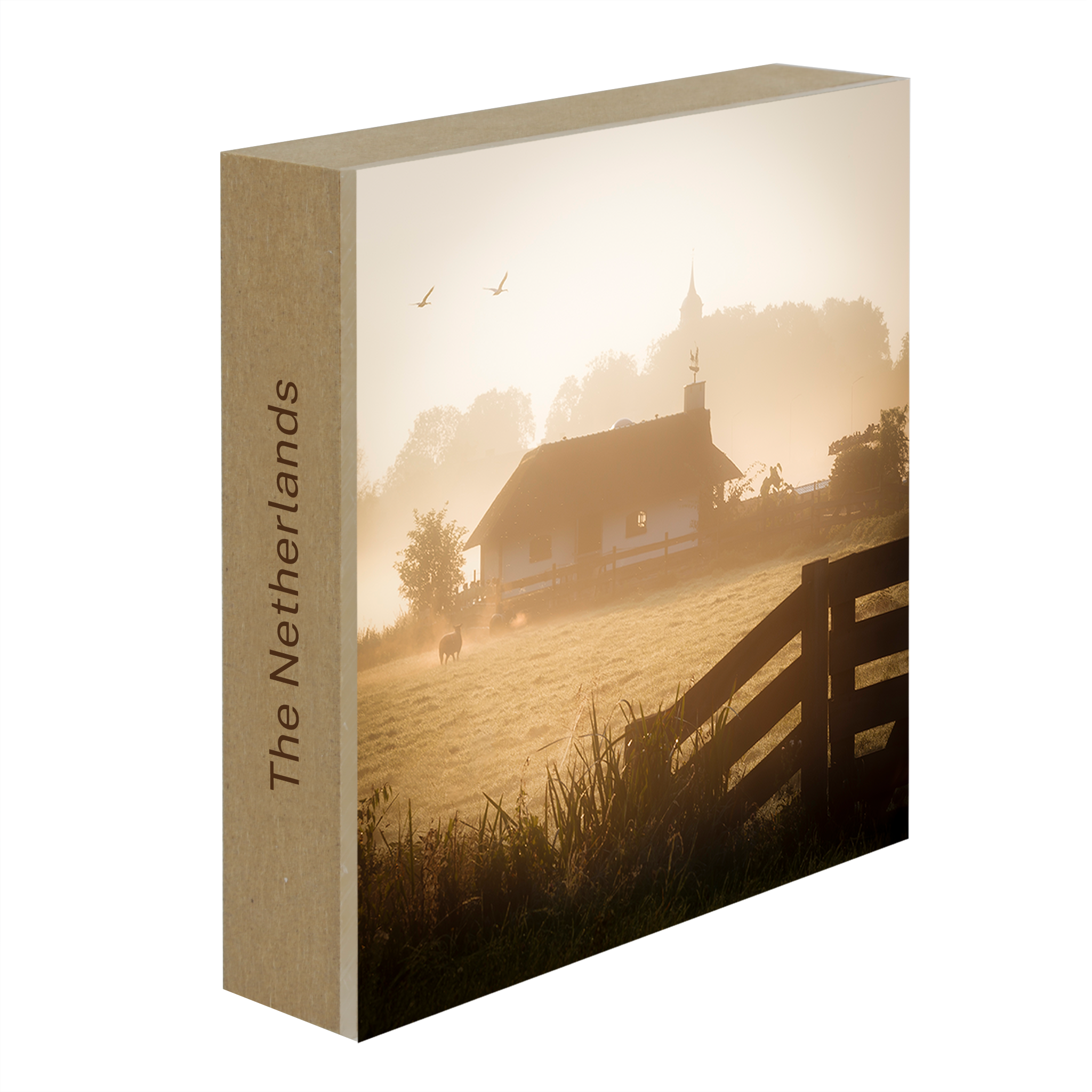 Ouderkerk Farmhouse- Collection: The Netherlands