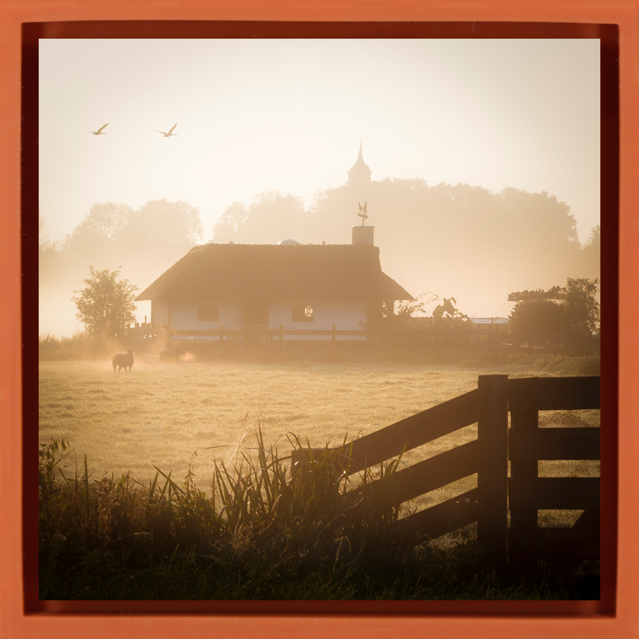 Ouderkerk Farmhouse - Oranje Wrapp