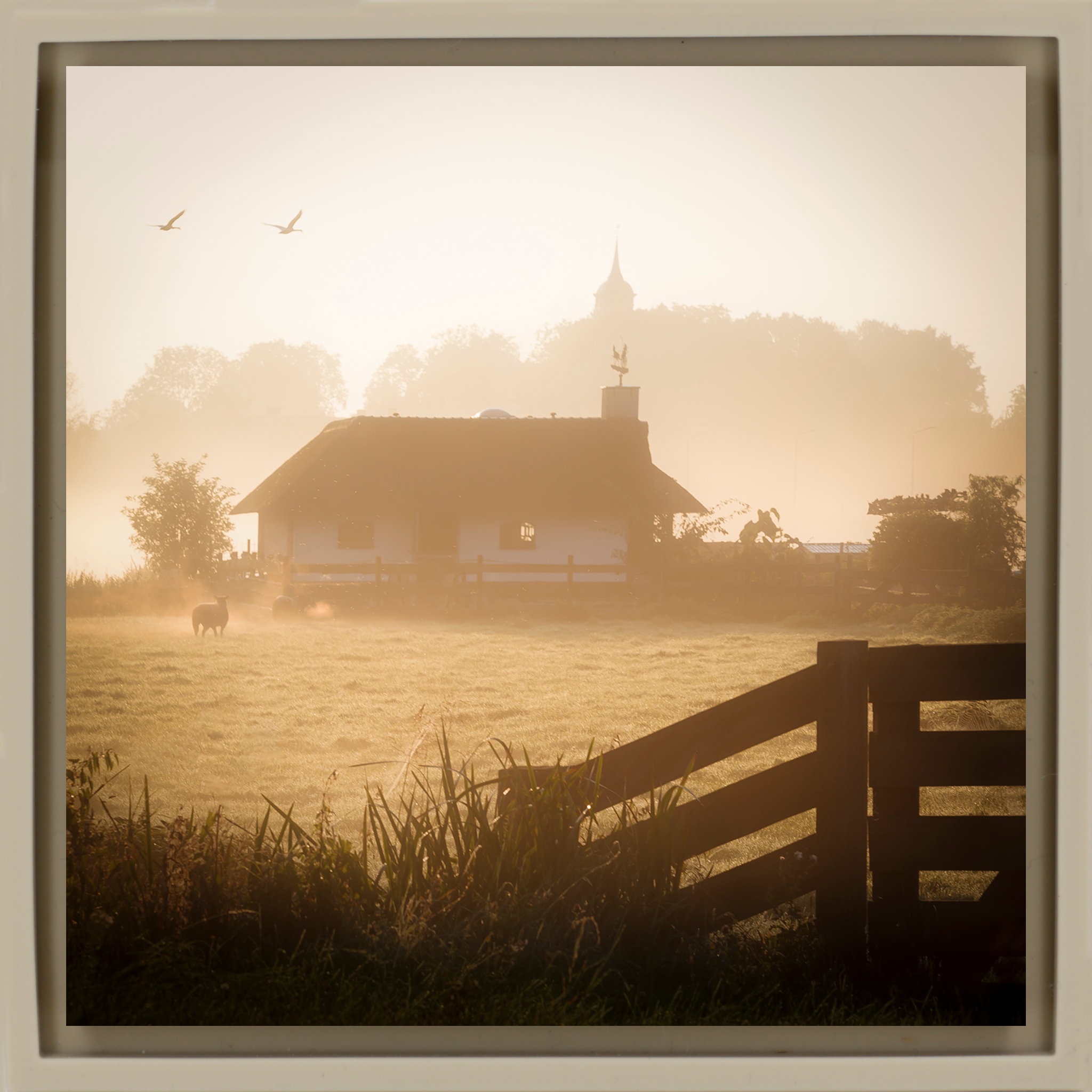 Ouderkerk Farmhouse - Zandkleurige Wrapp