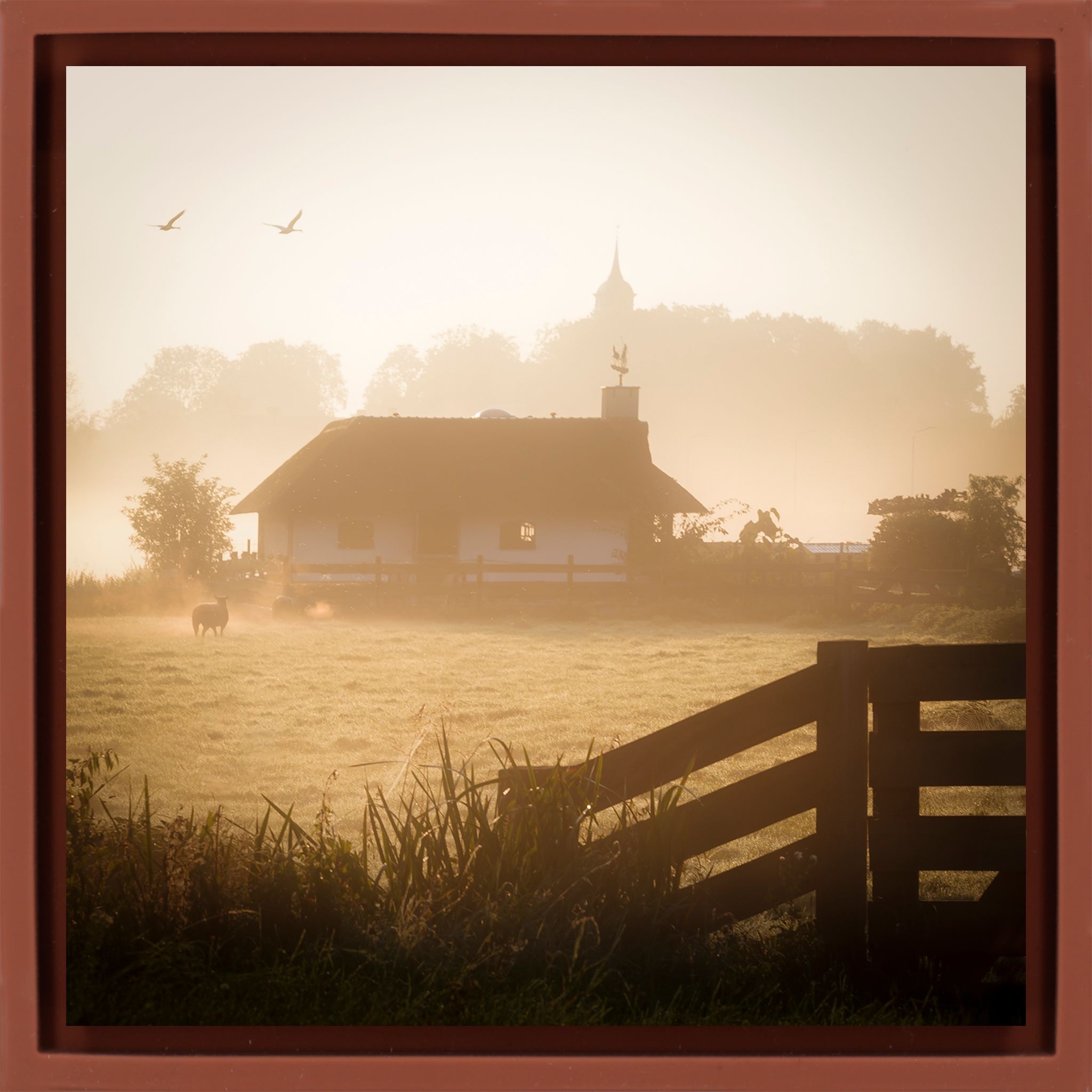 Ouderkerk Farmhouse - Terra Wrapp