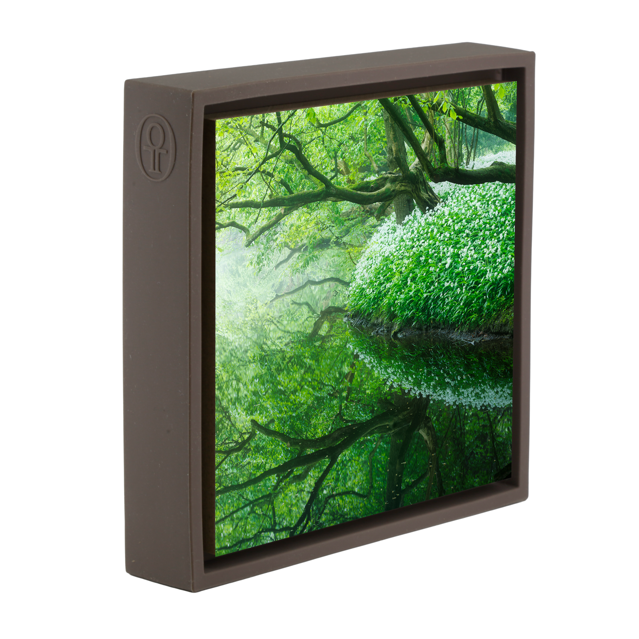 Reflections of the Amsterdamse Bos- Brown Wrapp