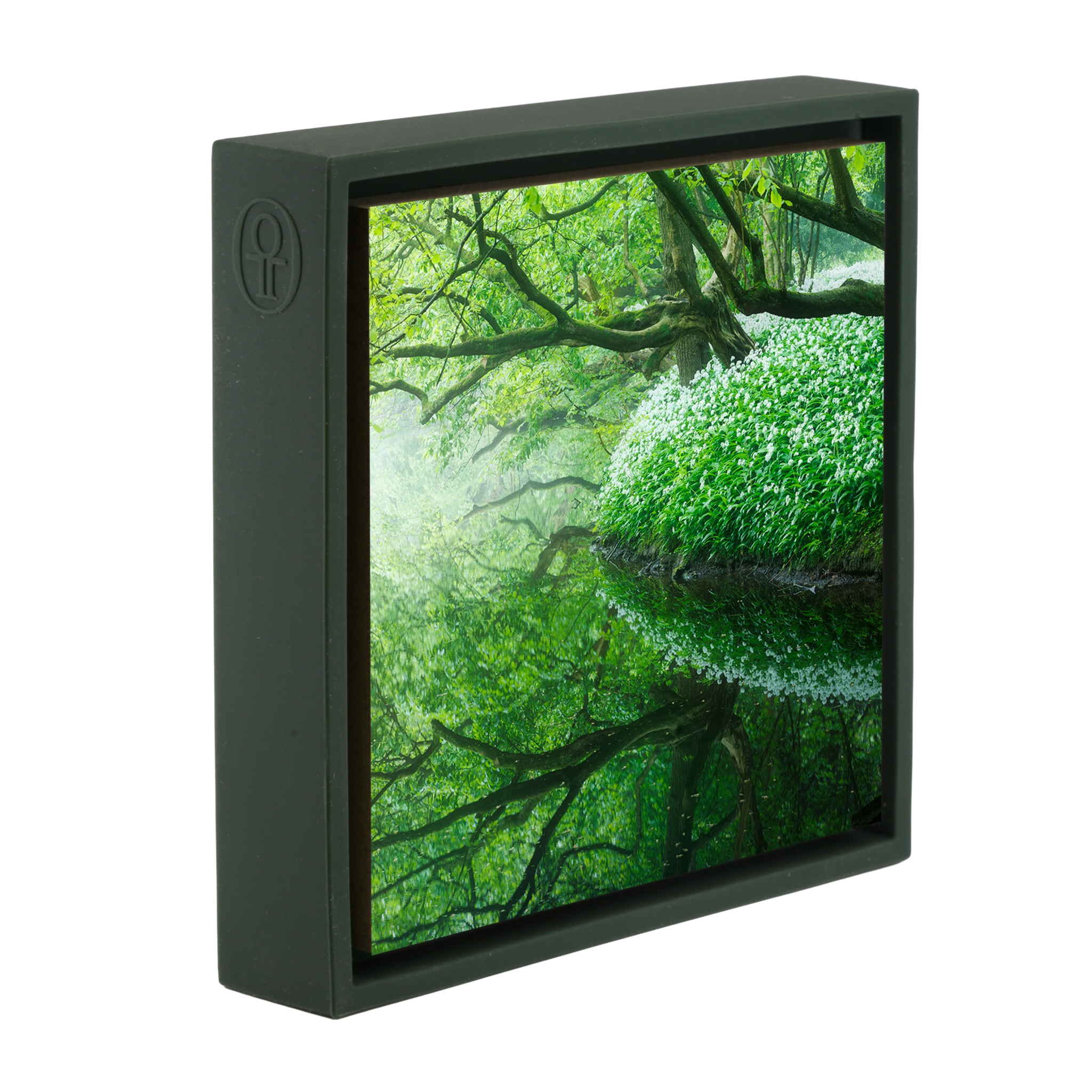 Reflections of the Amsterdamse Bos- Dark Green Wrapp