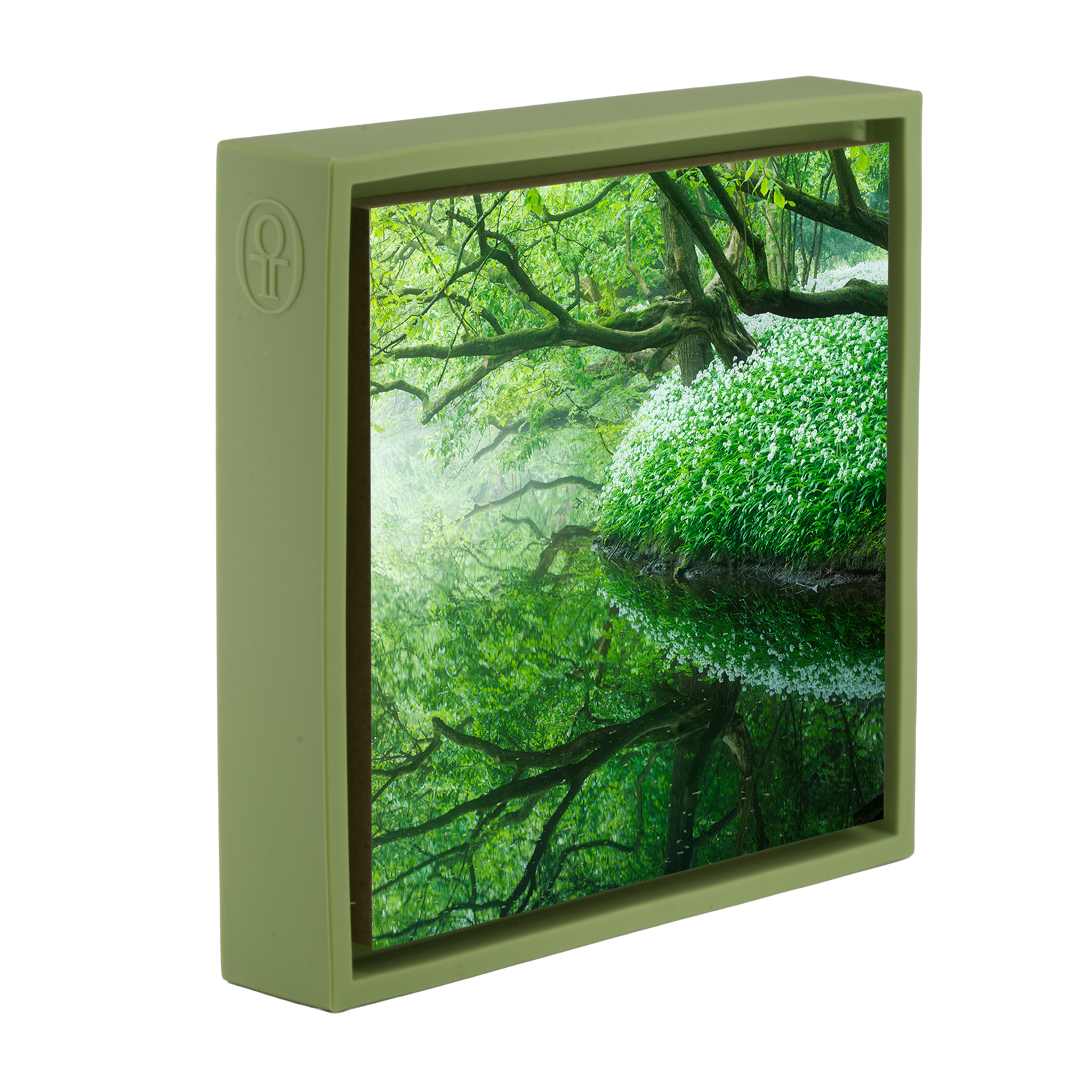 Reflections of the Amsterdamse Bos - Lichtgroene Wrapp