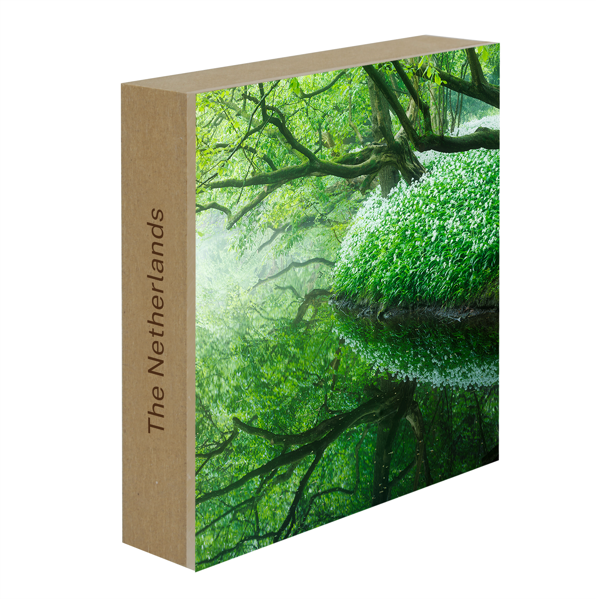 Reflections of the Amsterdamse Bos- Collection: The Netherlands