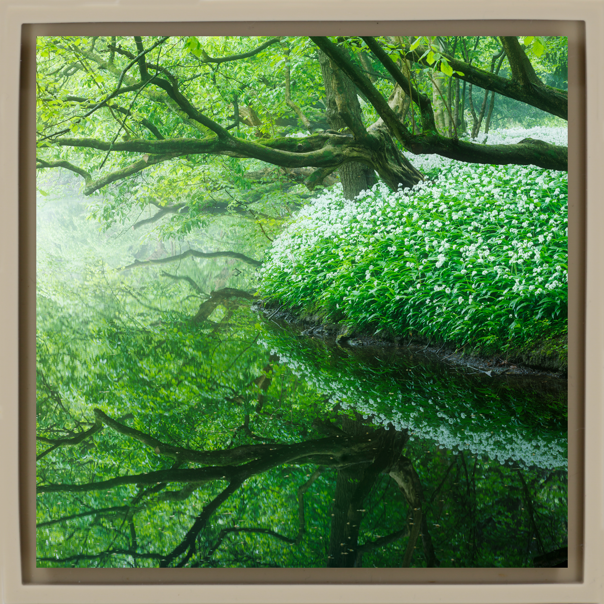 Reflections of the Amsterdamse Bos - Zandkleurige Wrapp