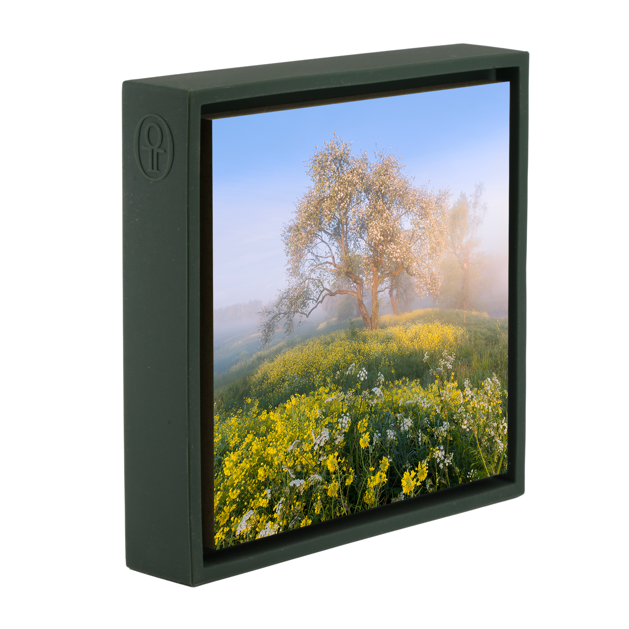 Blossom in De Betuwe- Dark Green Wrapp
