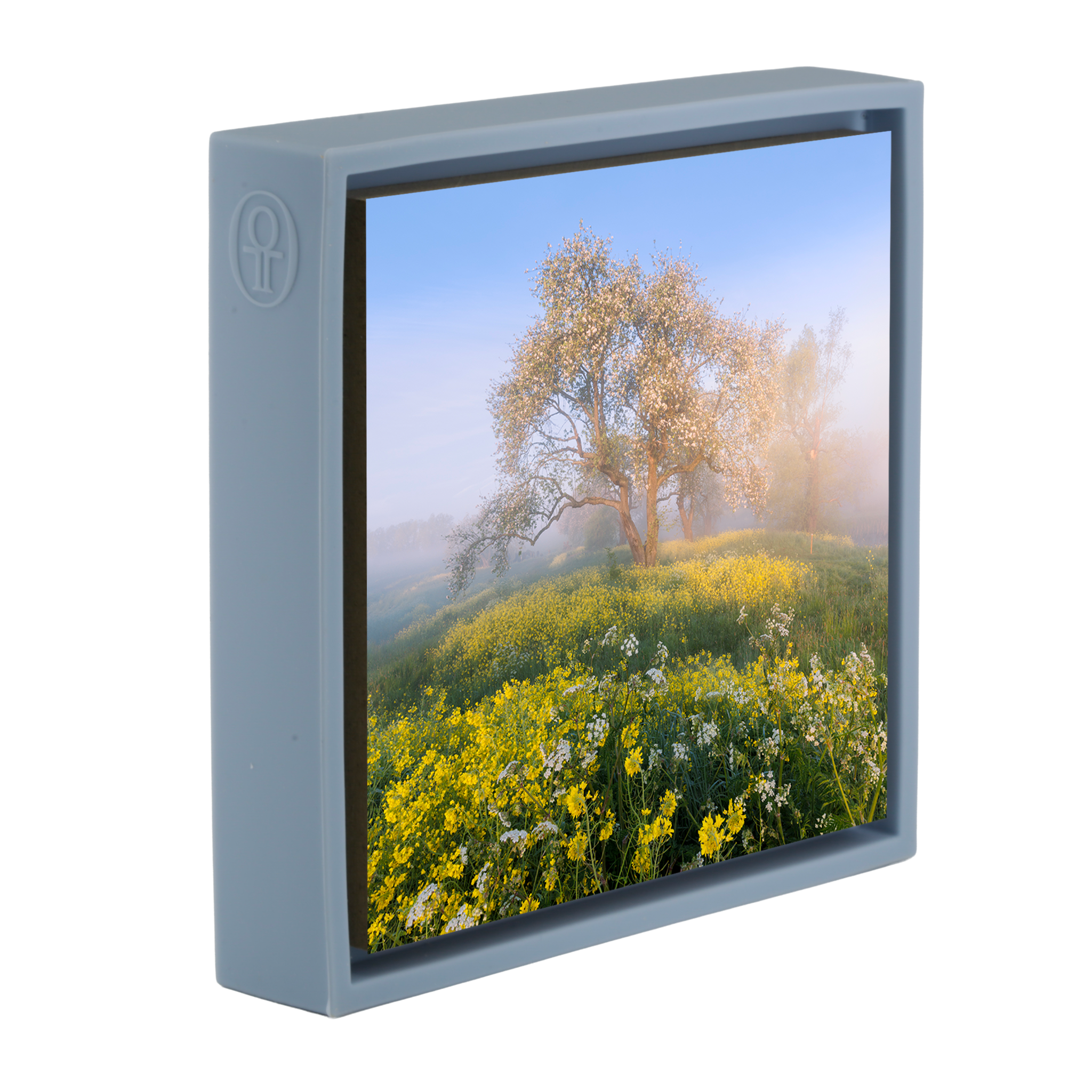 Blossom in De Betuwe - Lichtblauwe Wrapp
